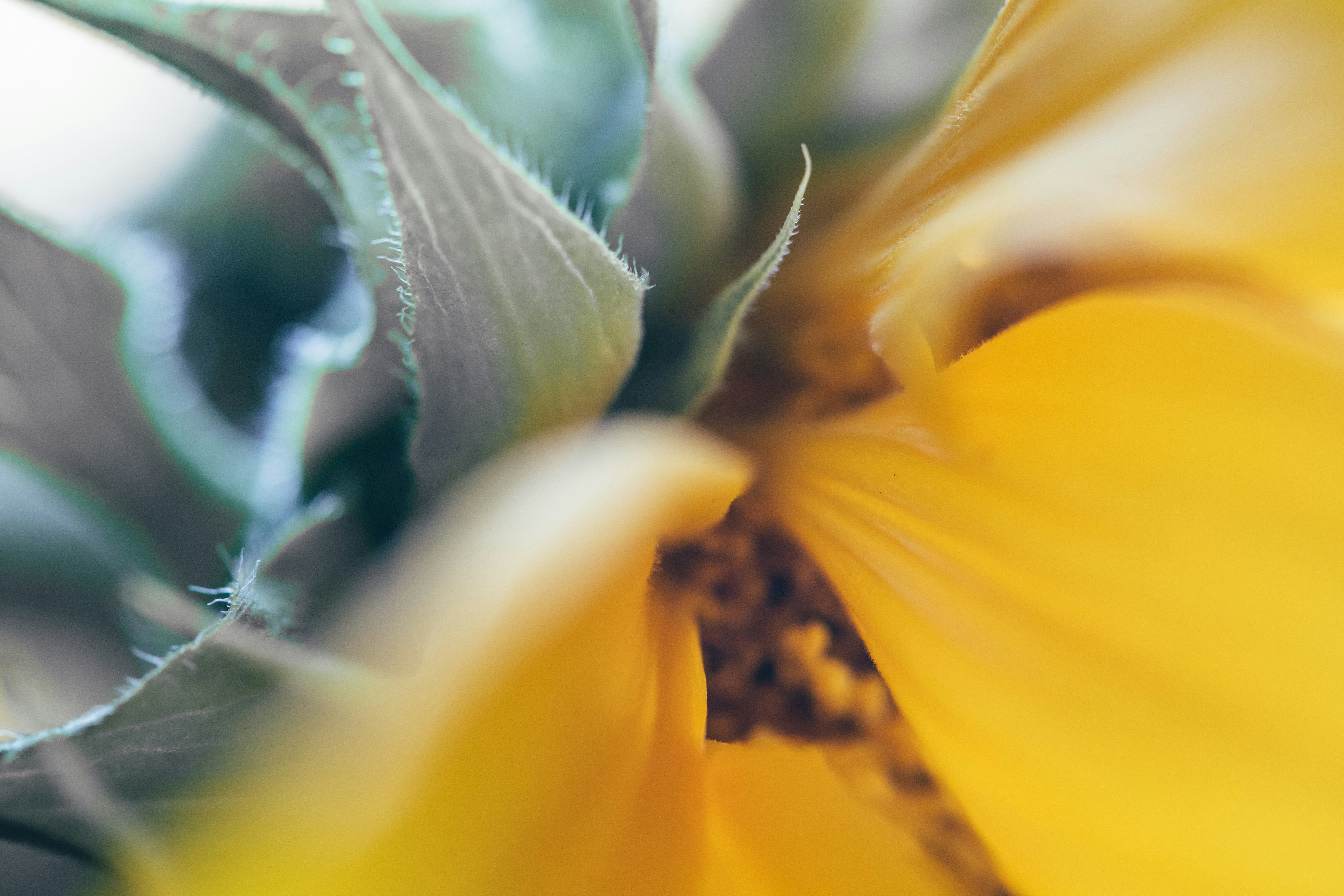 Photo by sixteenmilesout