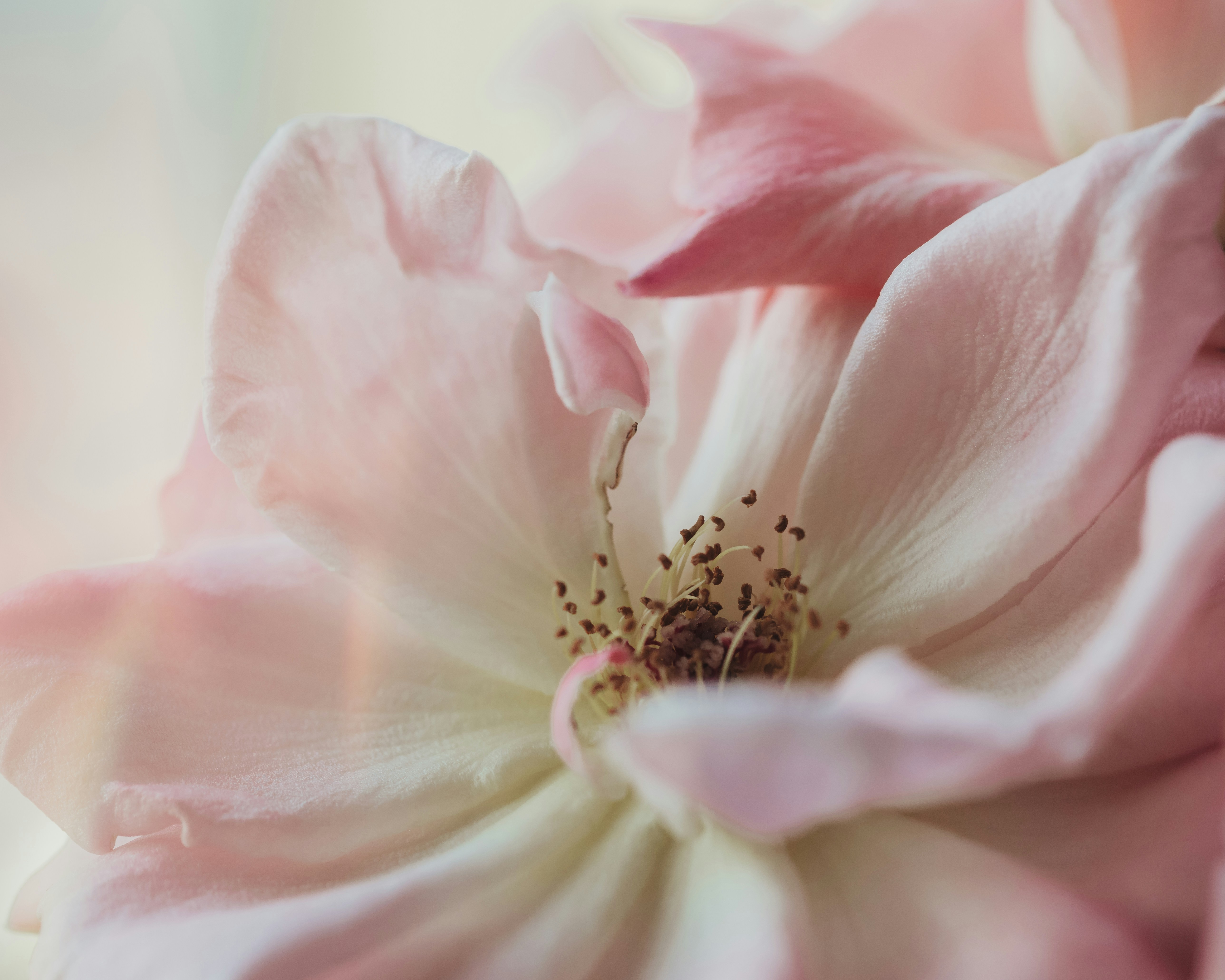 Photo by sixteenmilesout