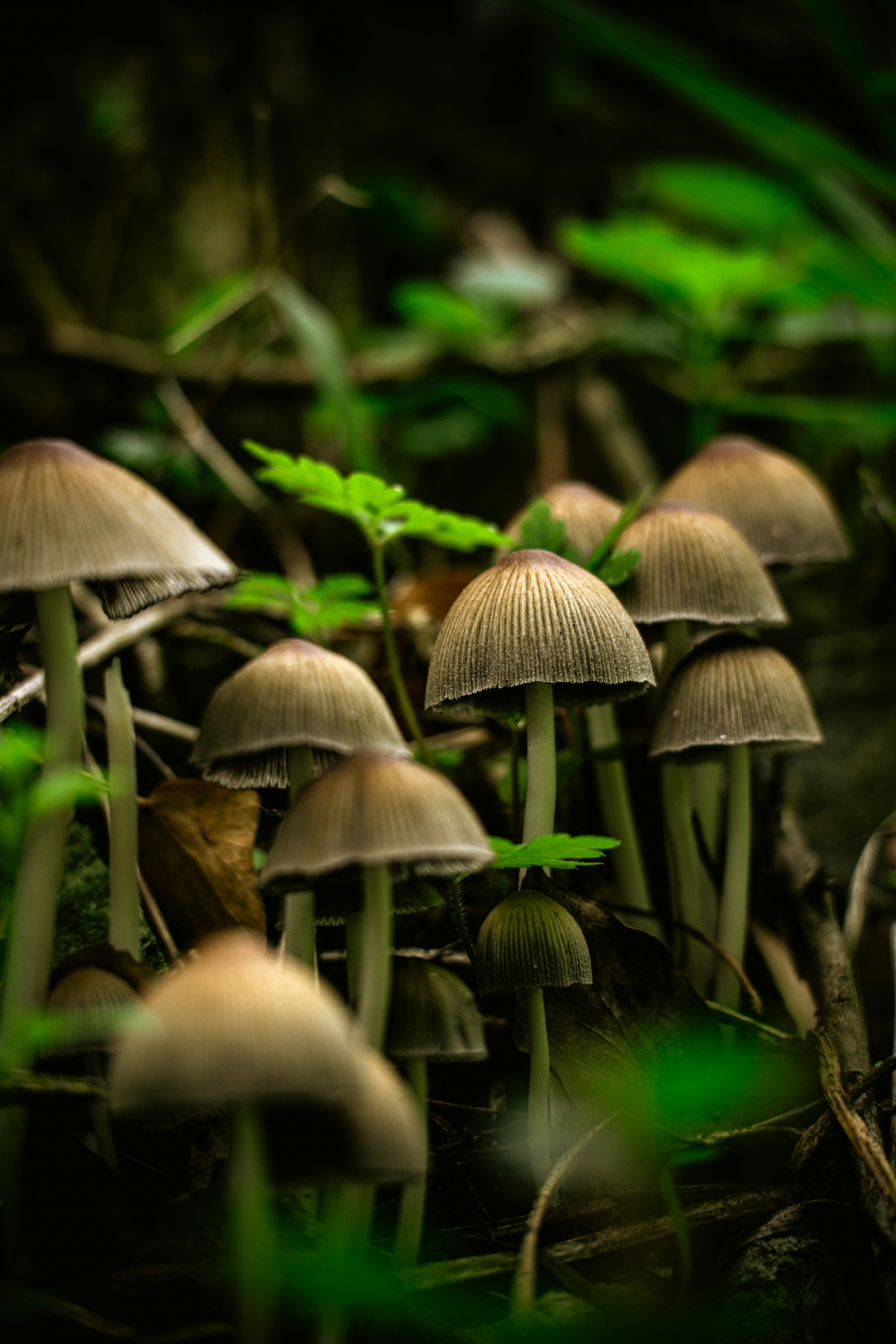 Photo by theresiahent