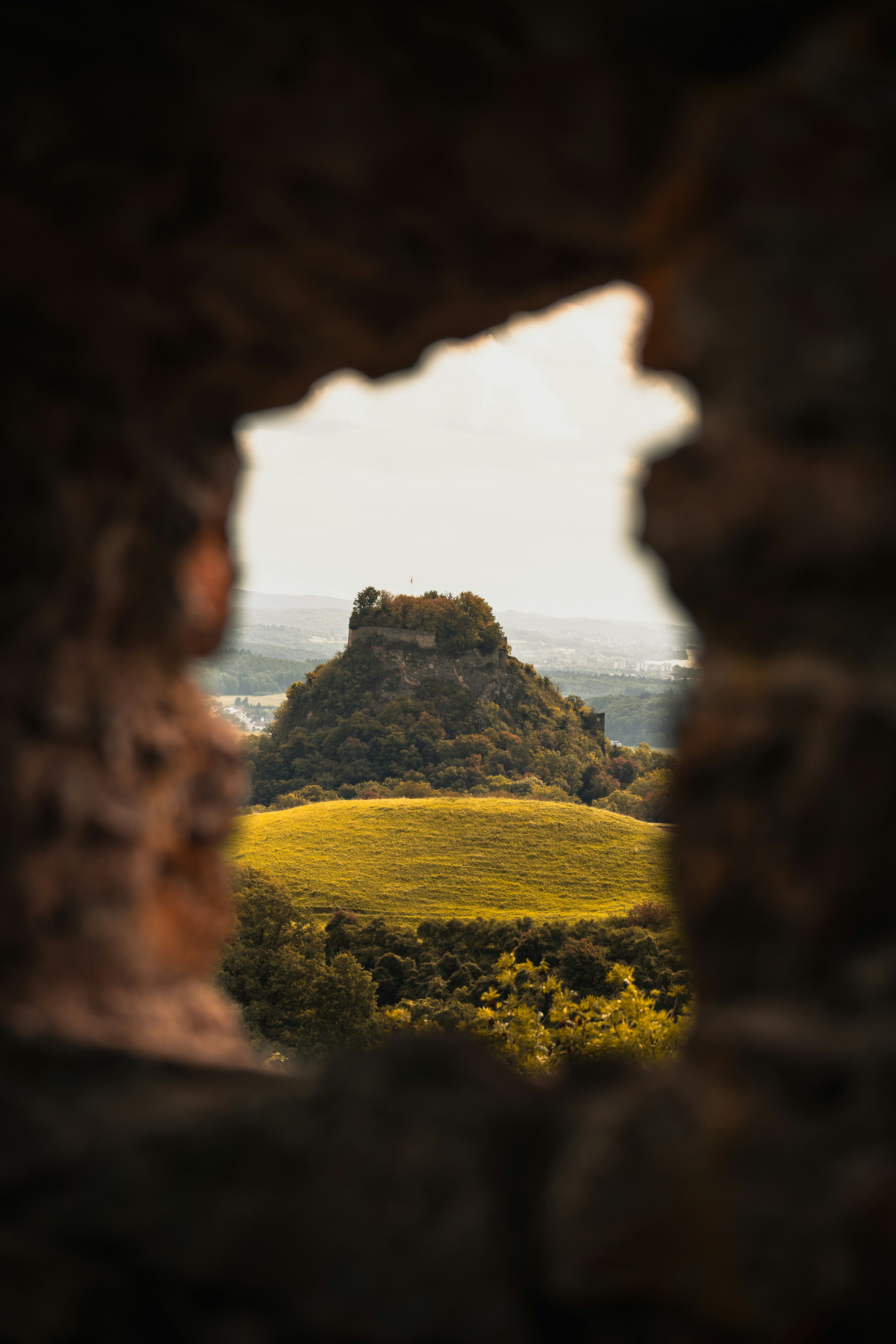 Ruines du château au sommet d’une colline boisée avec champ doré.