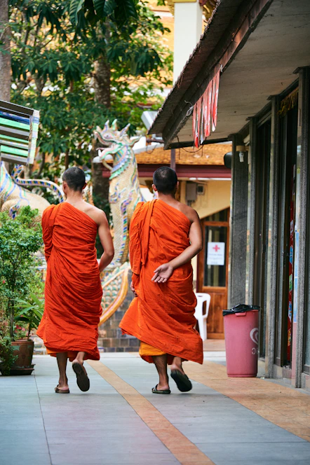 Two monks in orange robes walk down a path.
