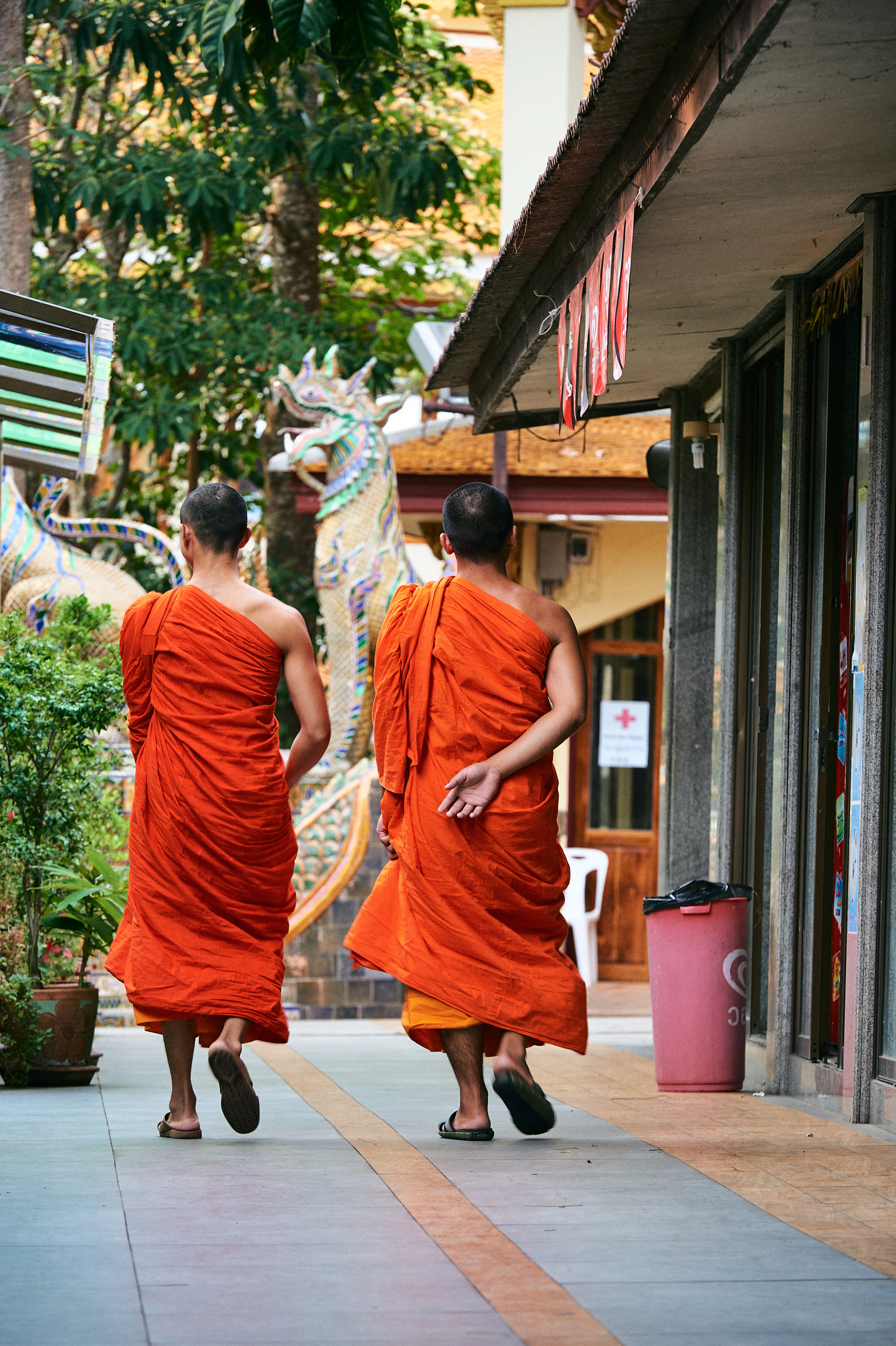 Two monks in orange robes walking barefoot away down a shaded temple walkway in Chiang Mai in the early morning, passing a green mosaic naga serpent sculpture
