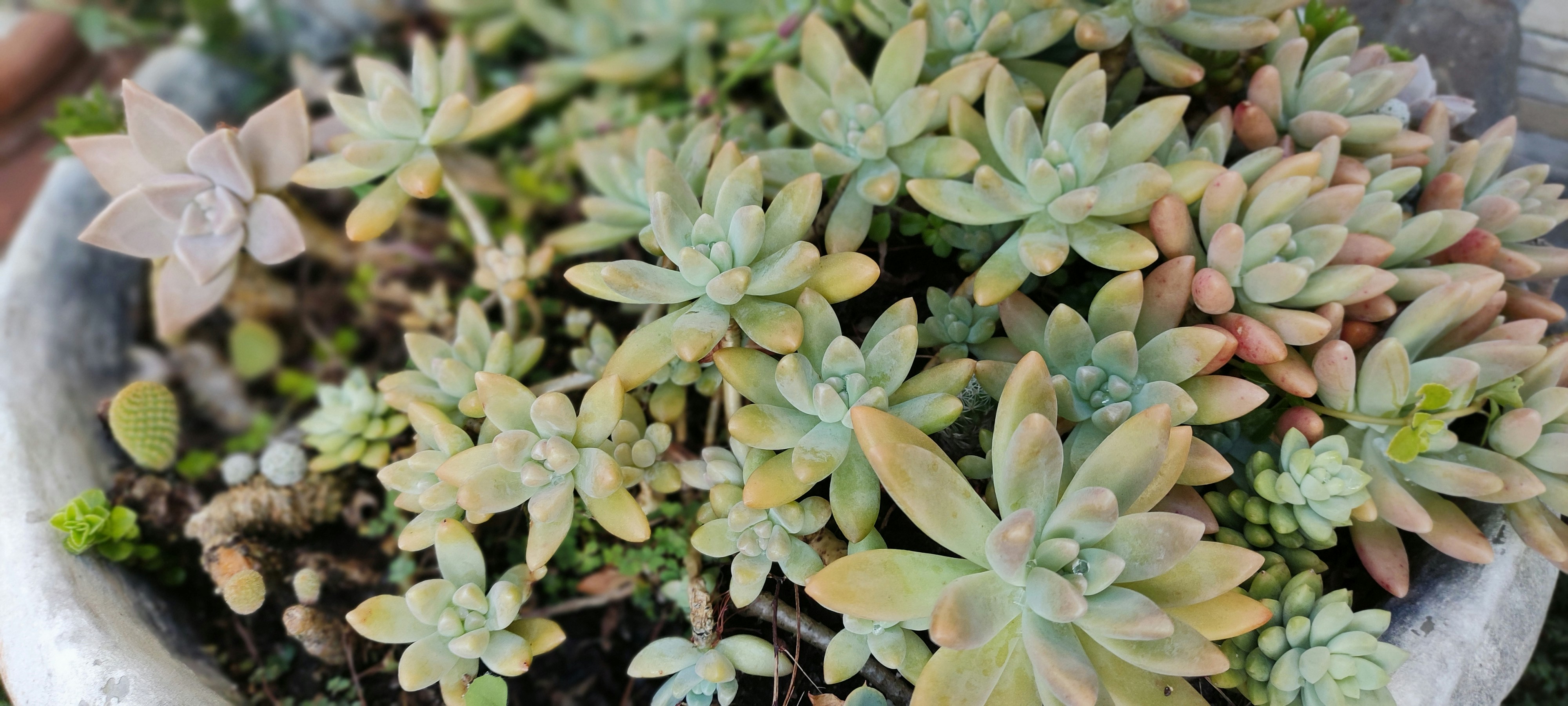 Photo by genezis1618