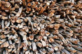 A large pile of cut firewood