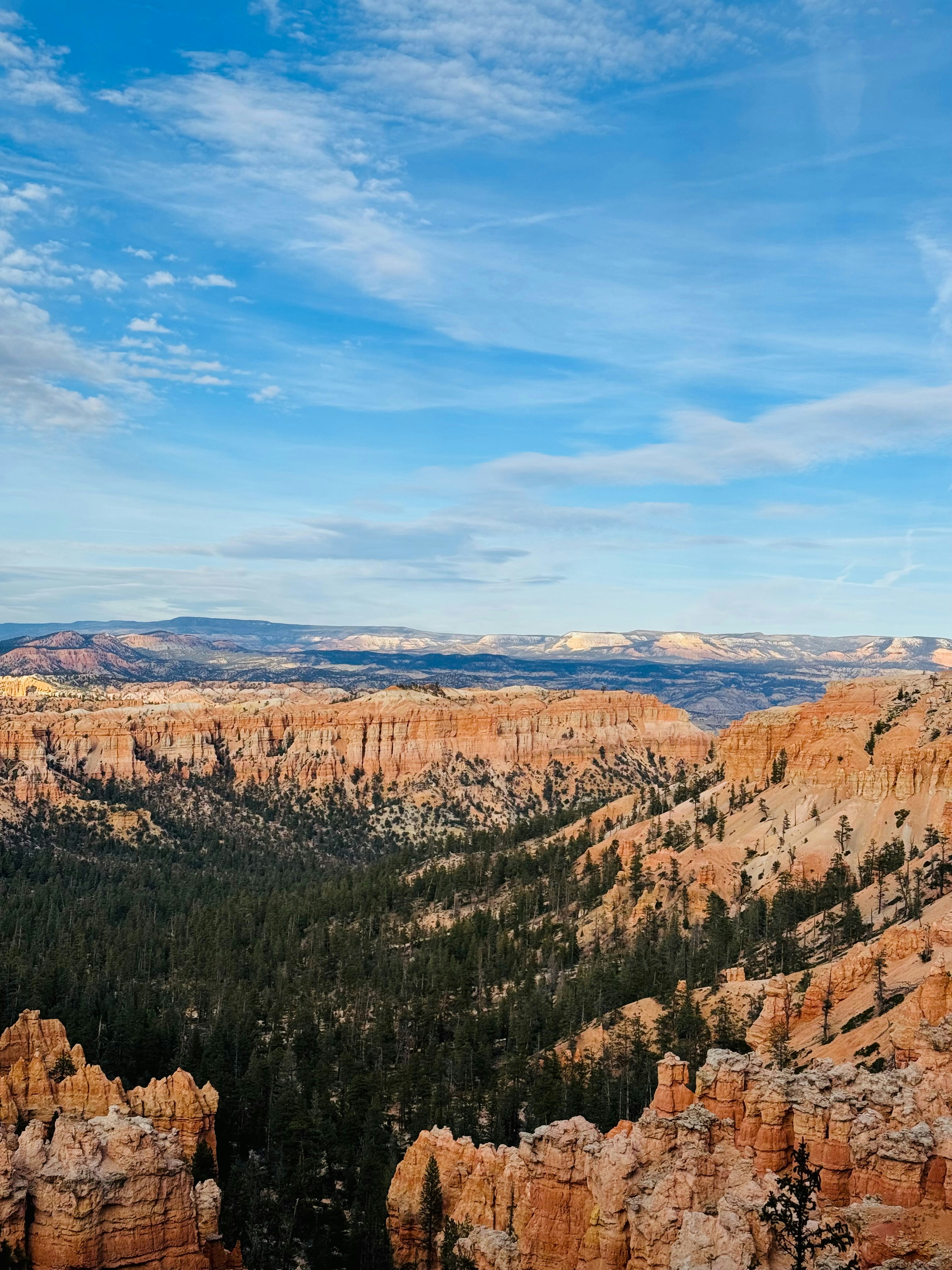 Photo by through_lens