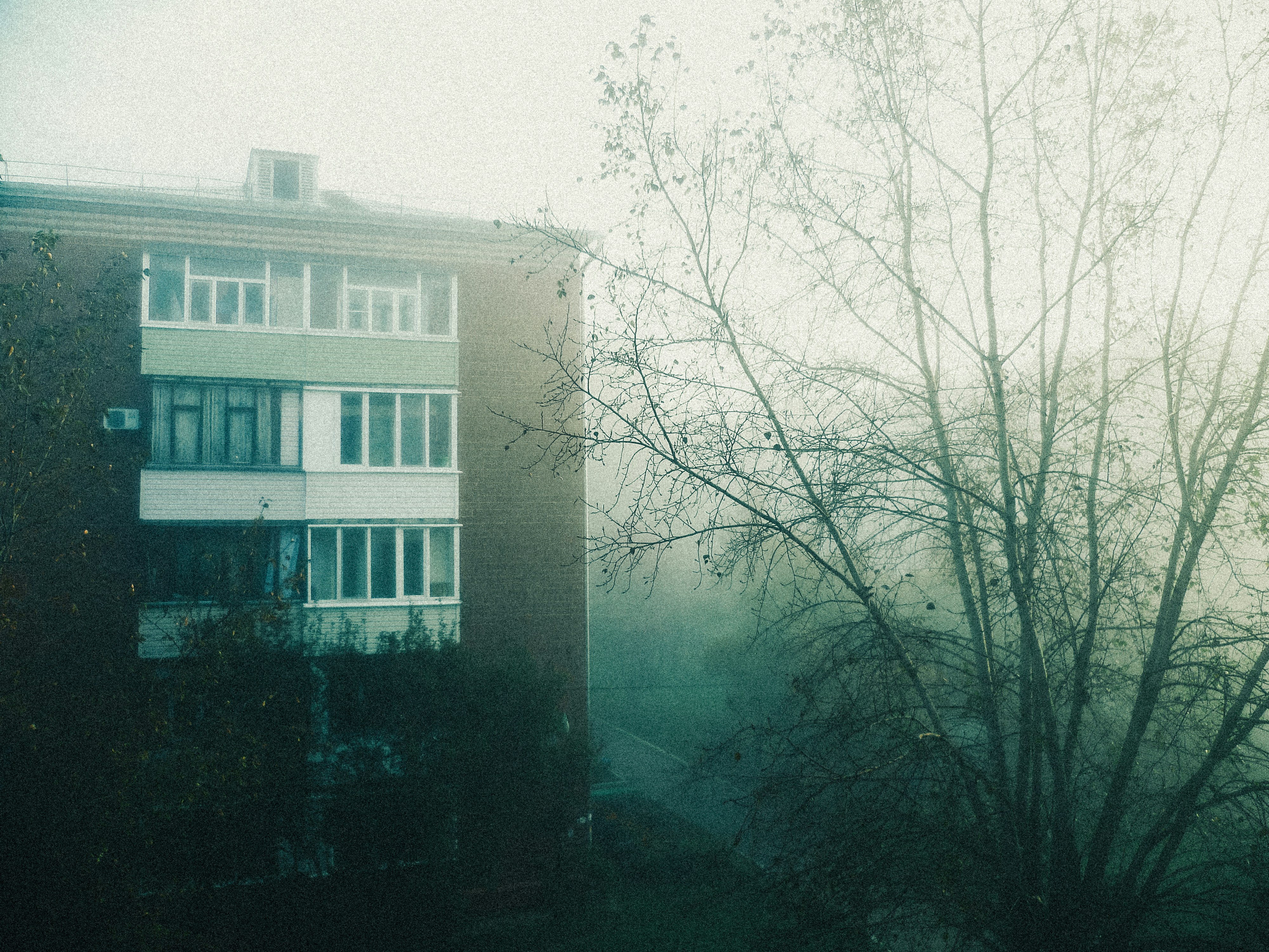 Apartment building and bare tree in fog