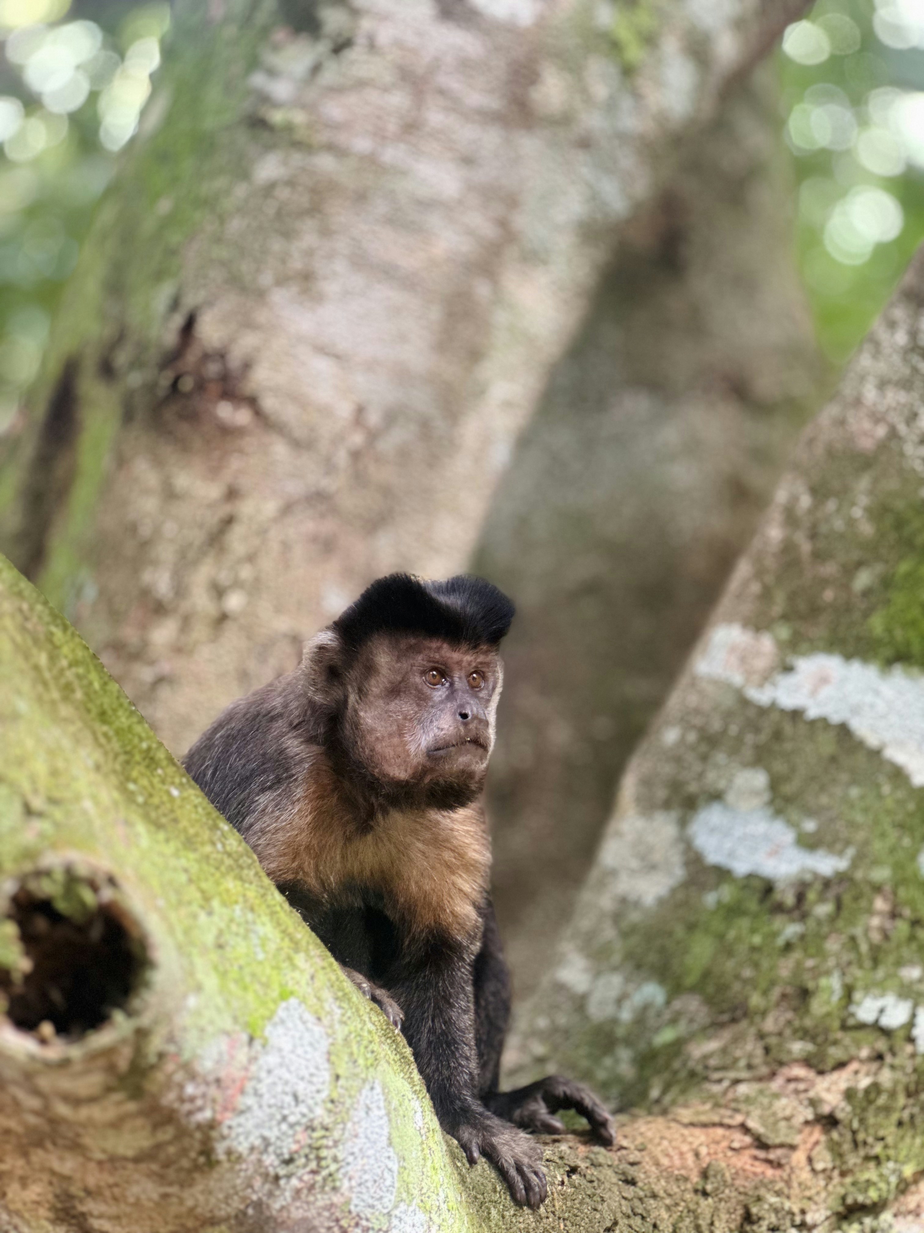 Photo by marcelomagalhaes