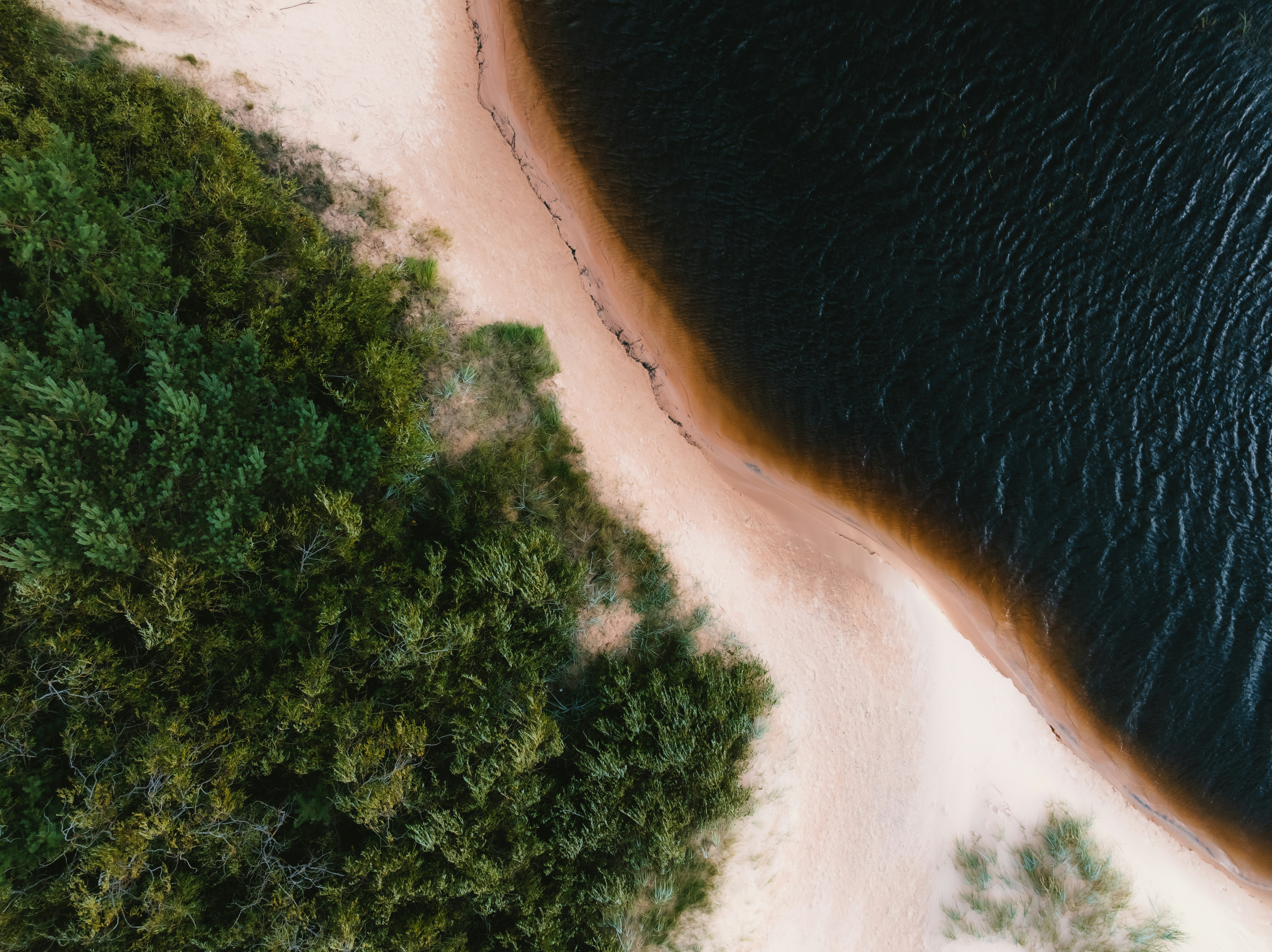 Photo by kristapsungurs