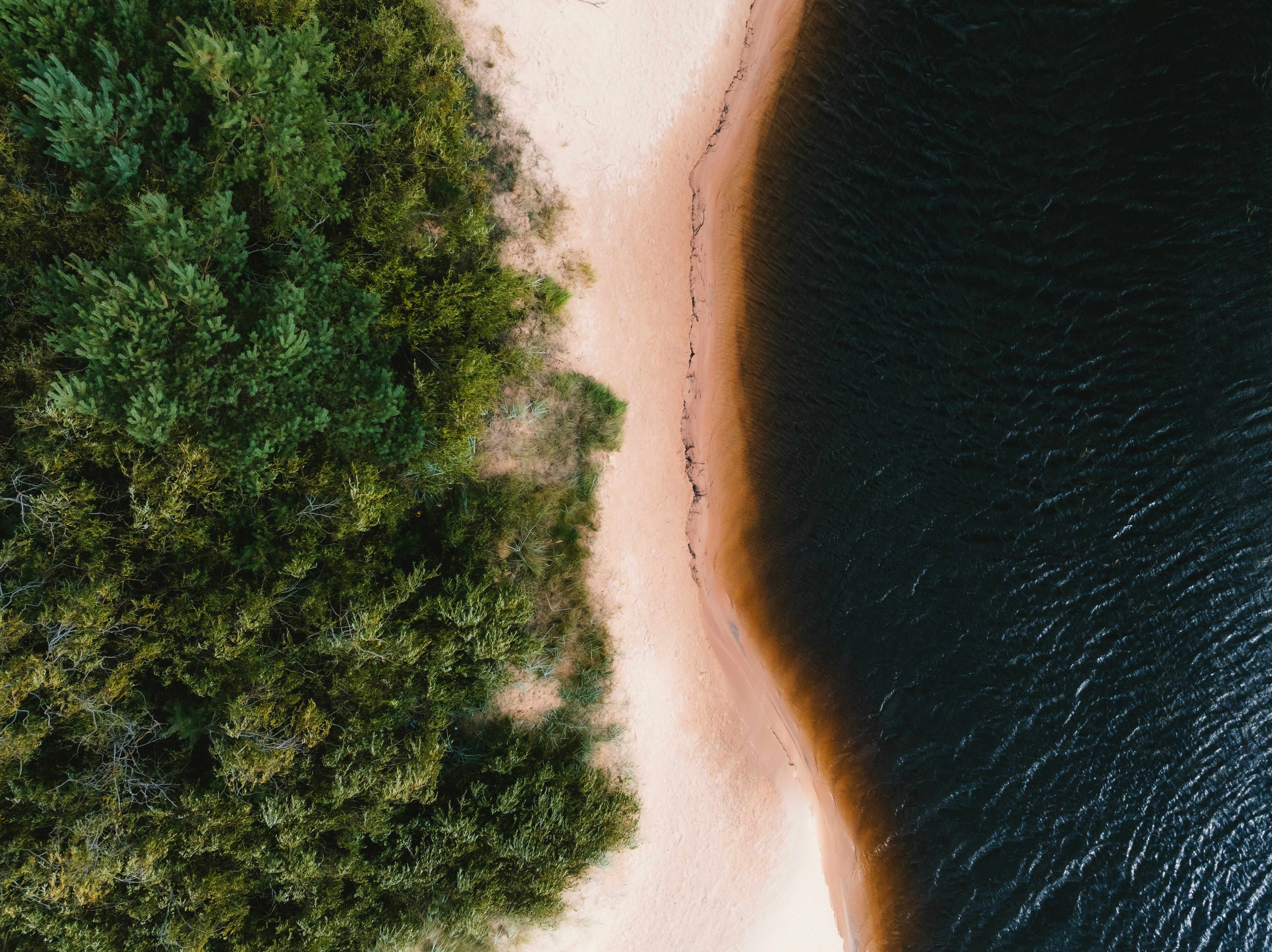 Photo by kristapsungurs