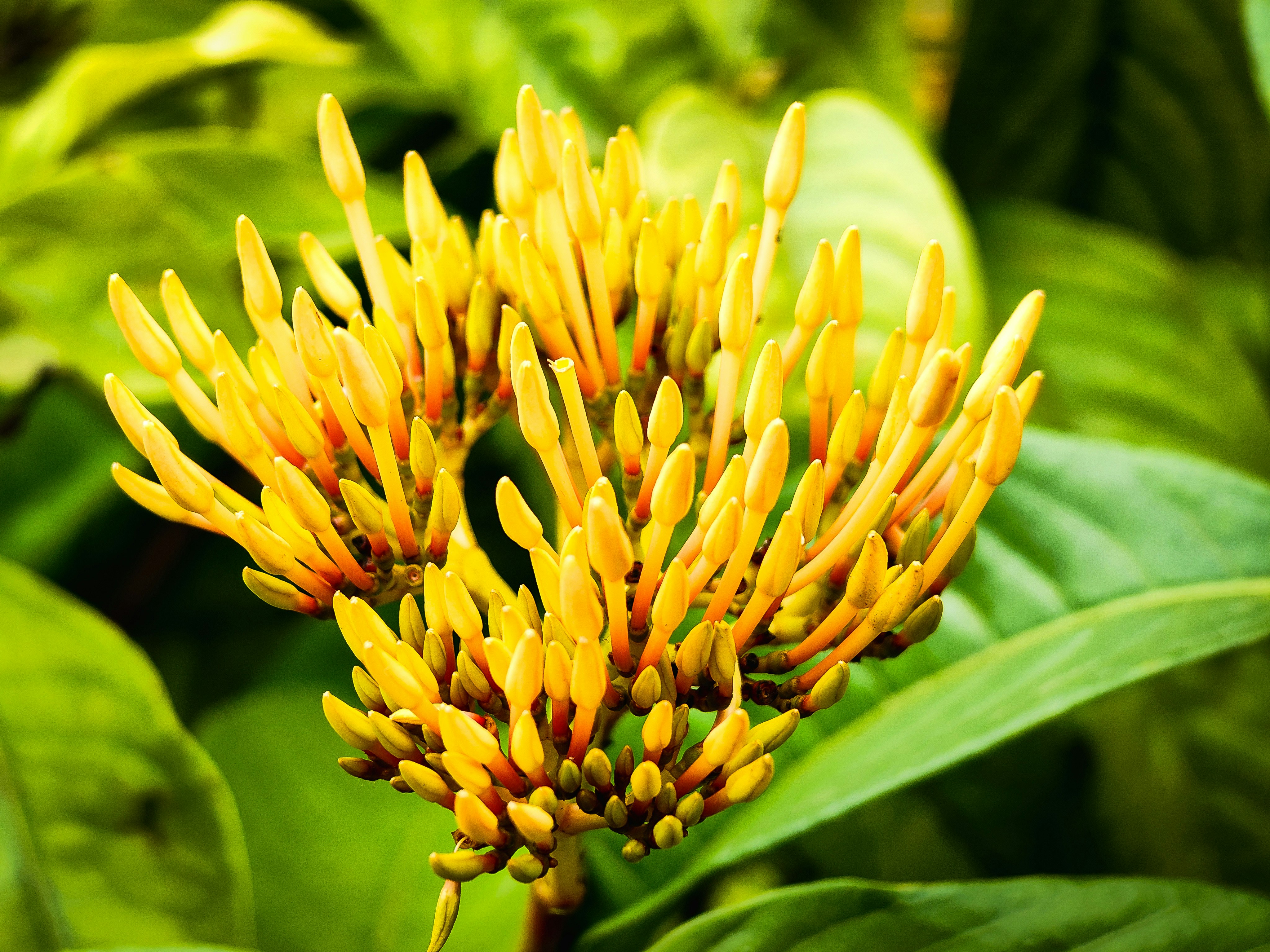 Photo by emmanual_jose