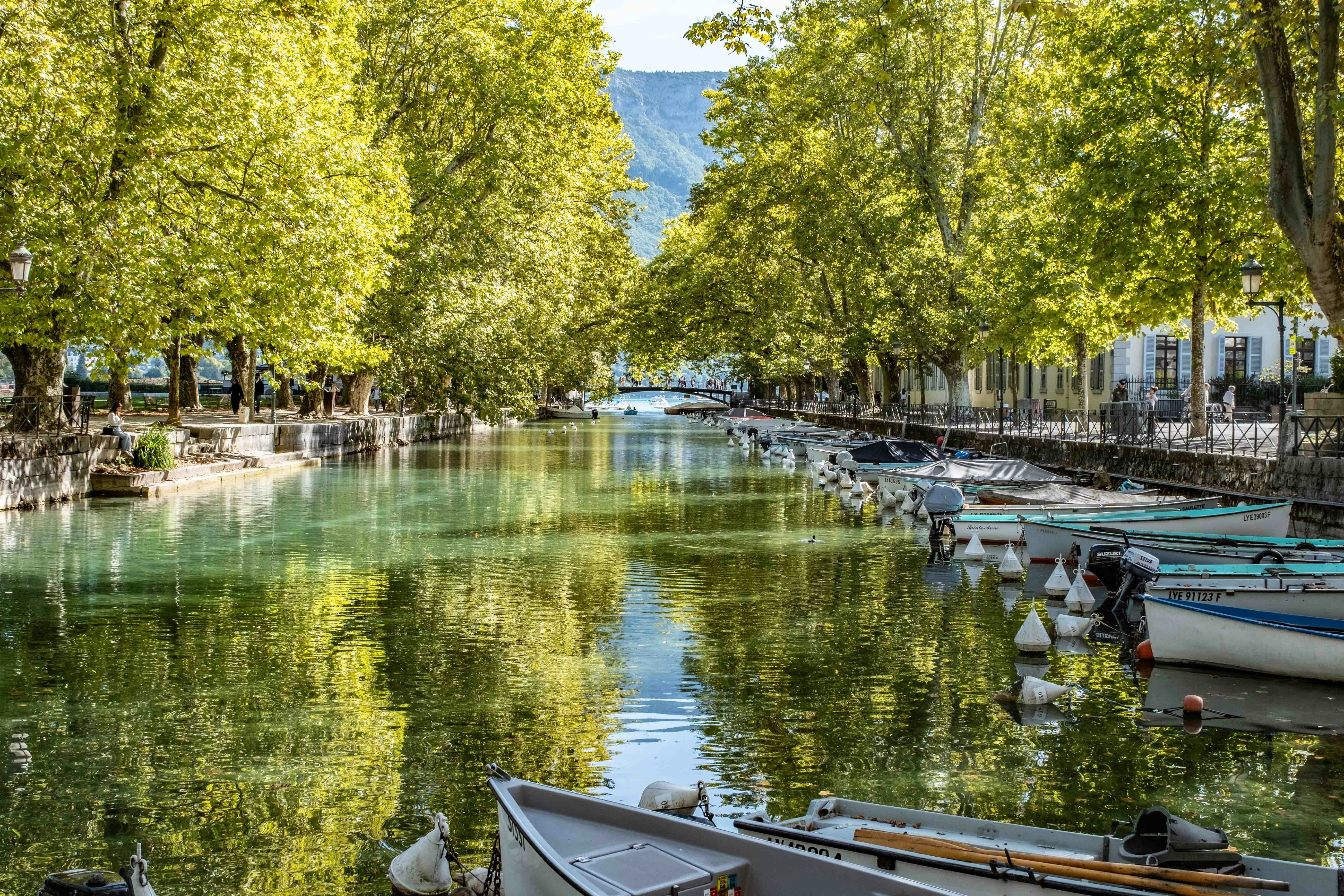 Bateaux amarrés le long d’un canal arboré aux reflets