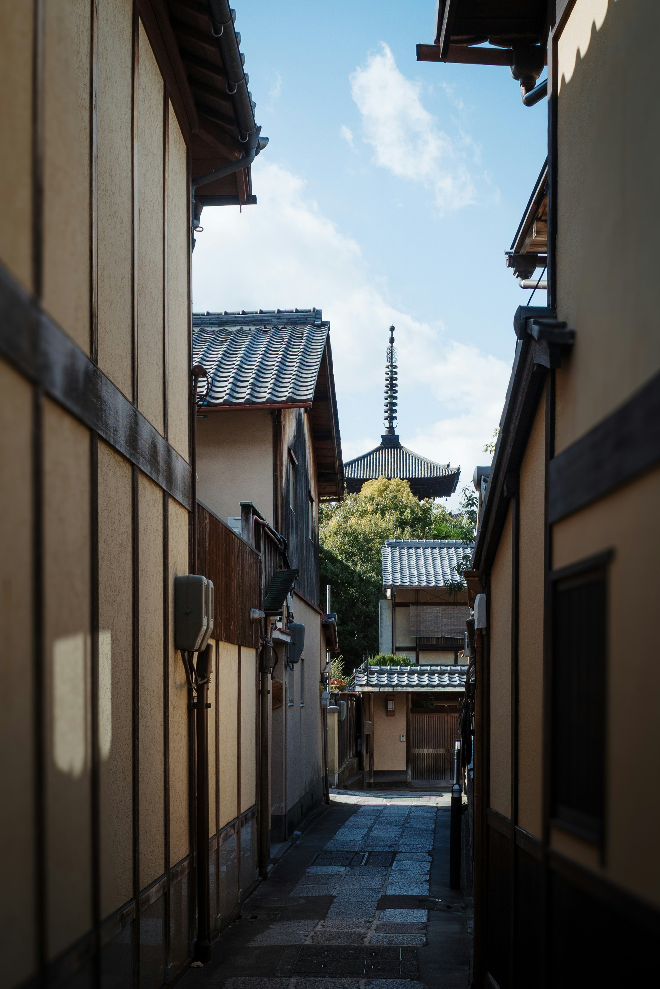Photo by leongsan