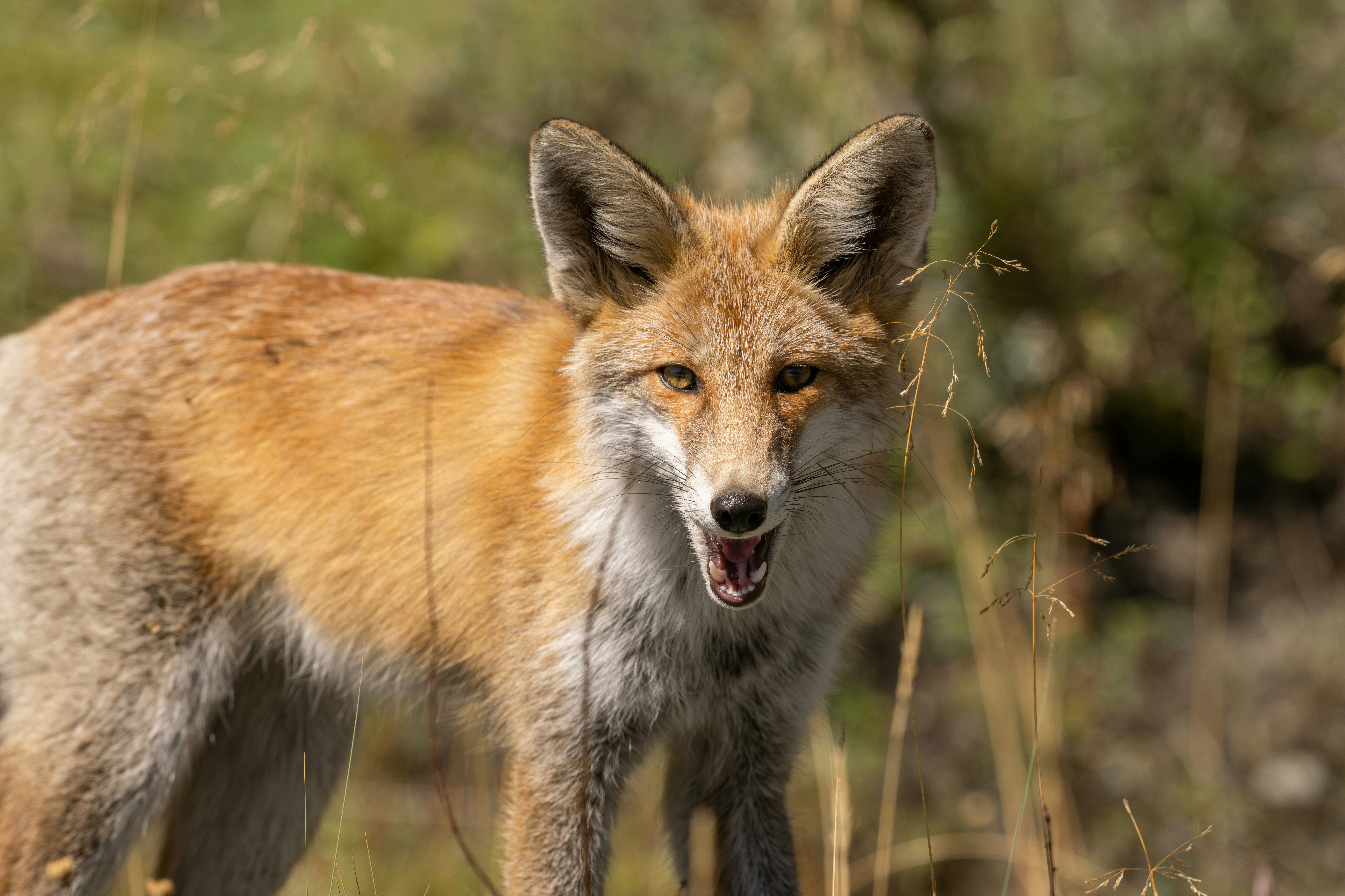 Photo by briadorothy