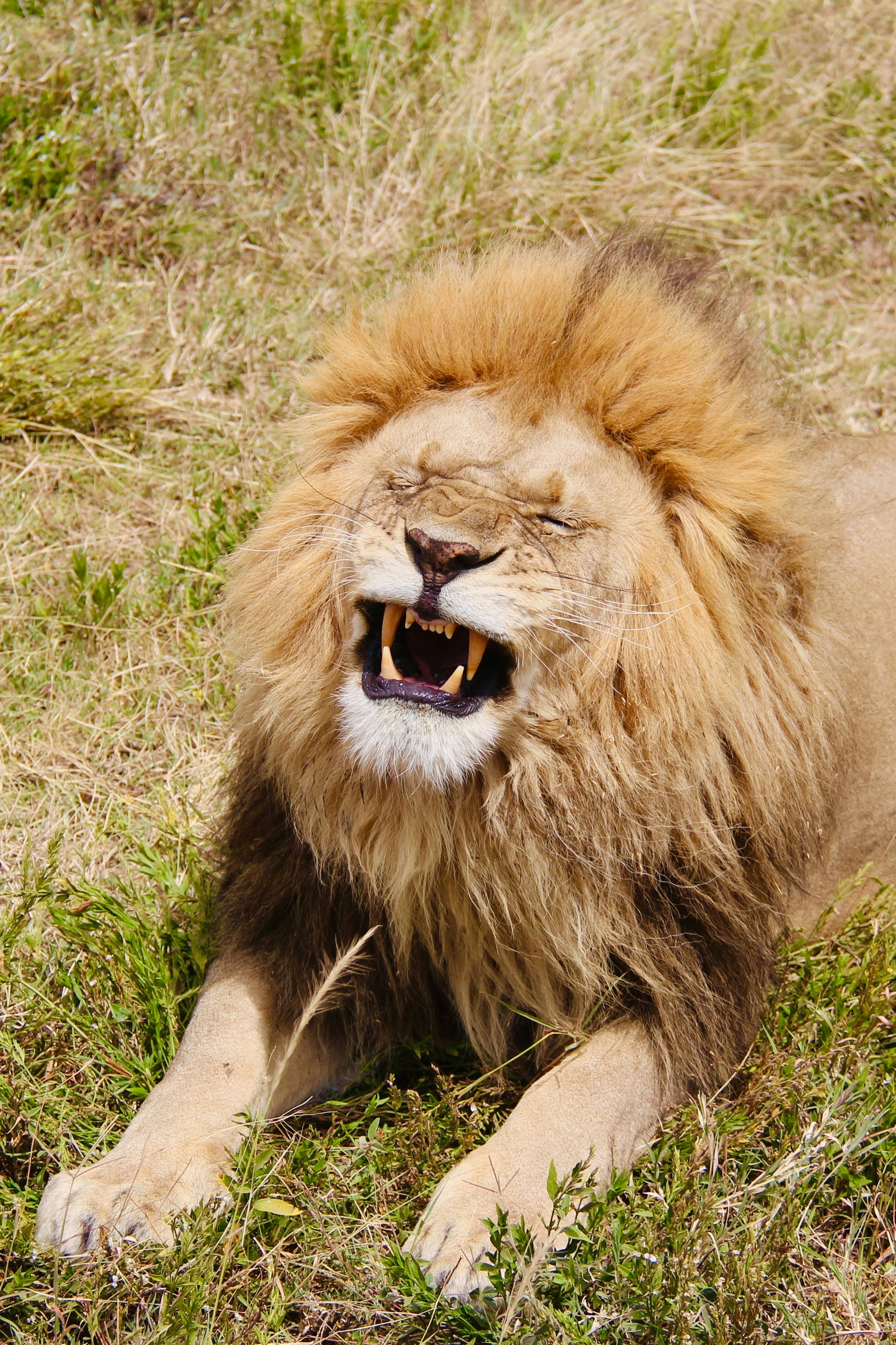 Photo by annevanstratum