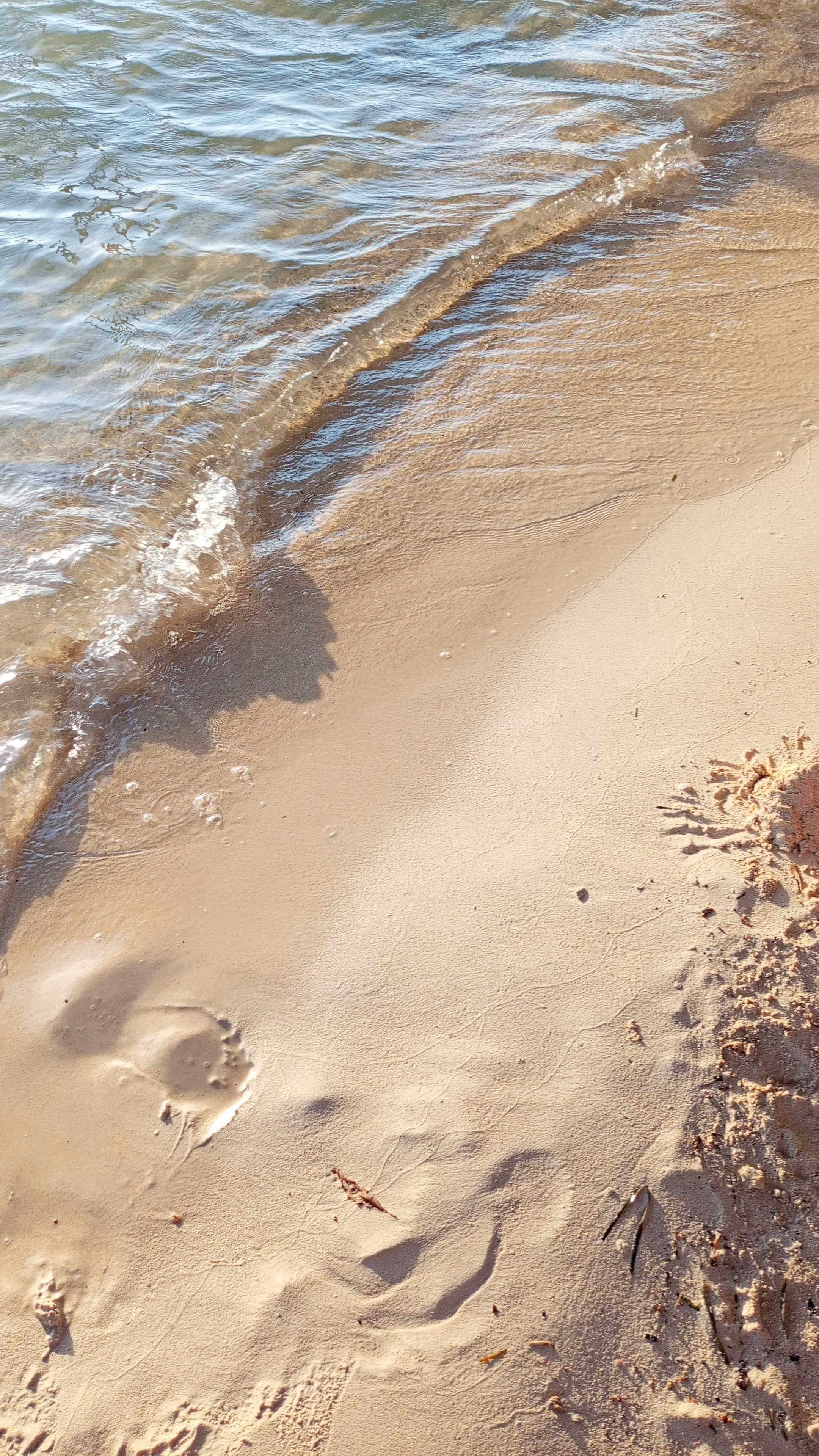 Photo by hamza_shehab