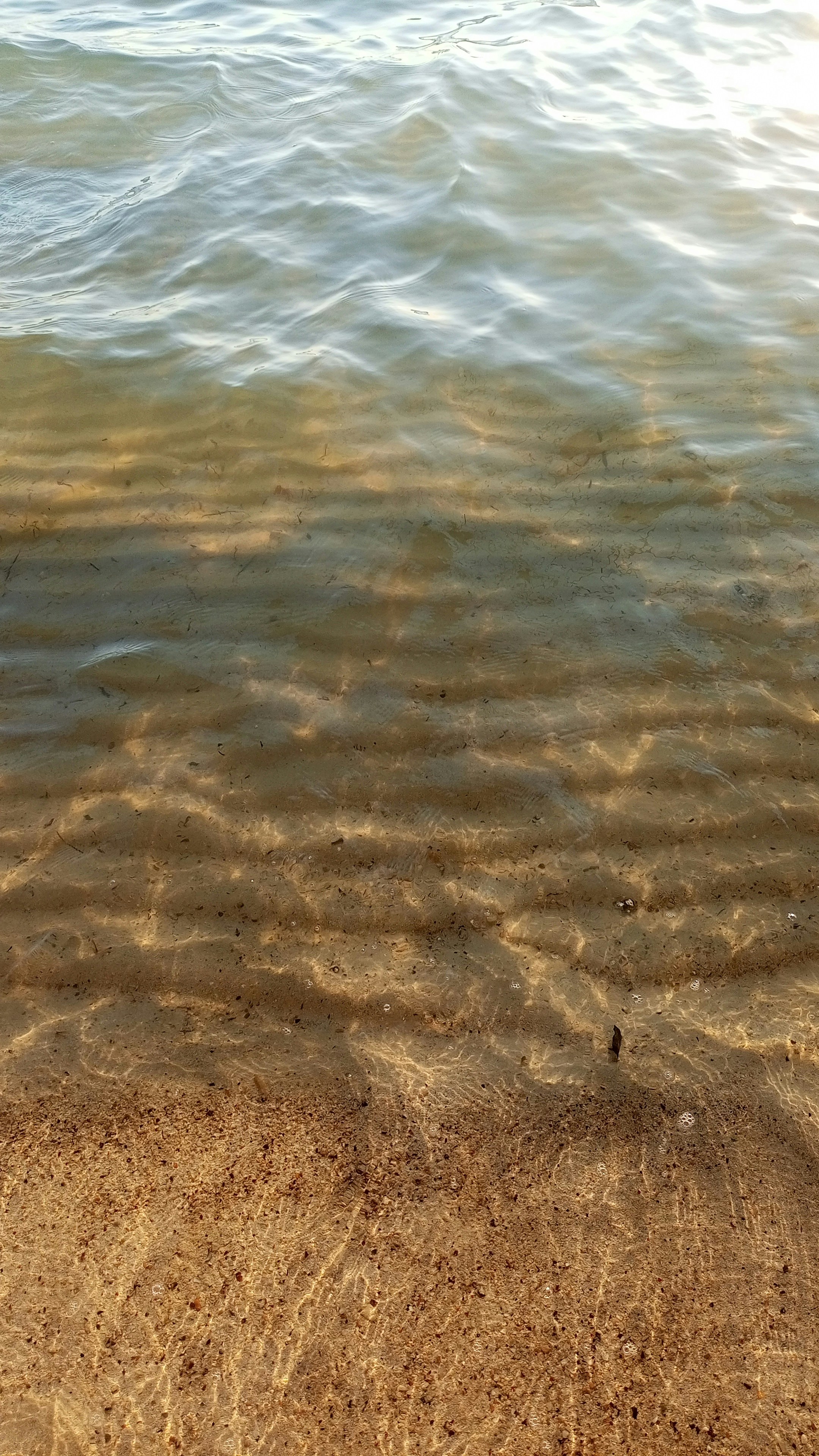 Photo by hamza_shehab