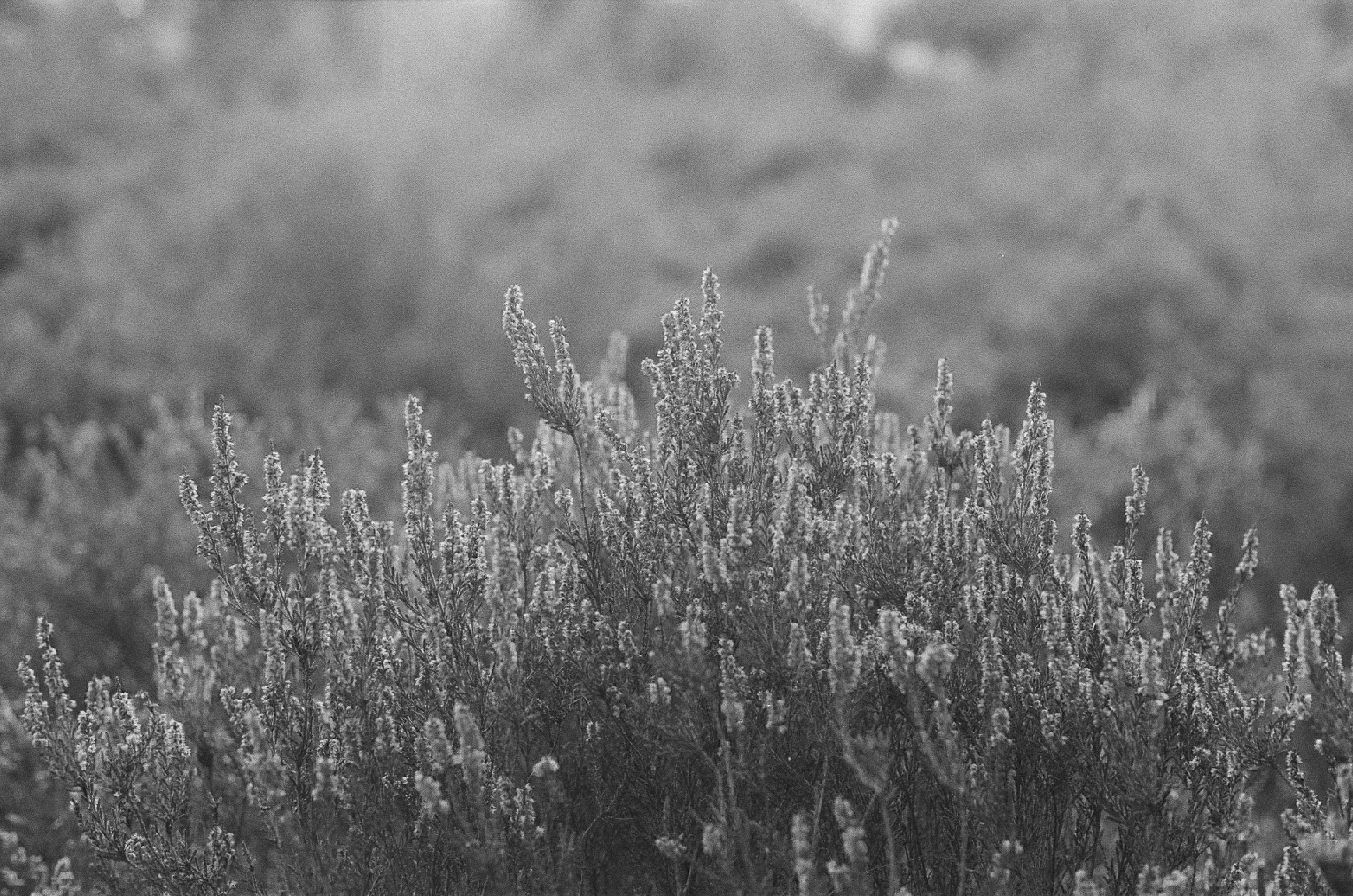 Photo by tanyabarrow