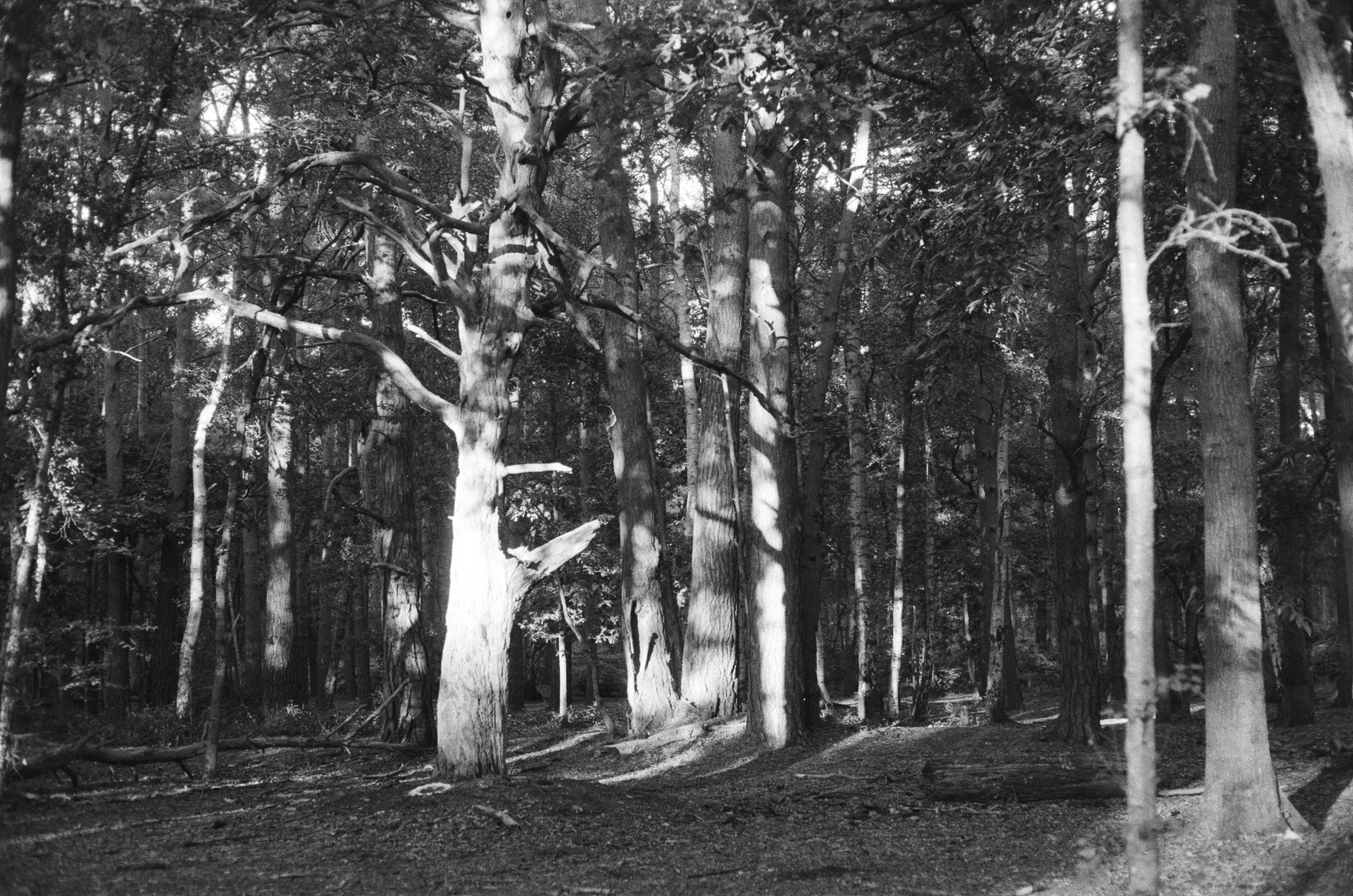 Photo by tanyabarrow