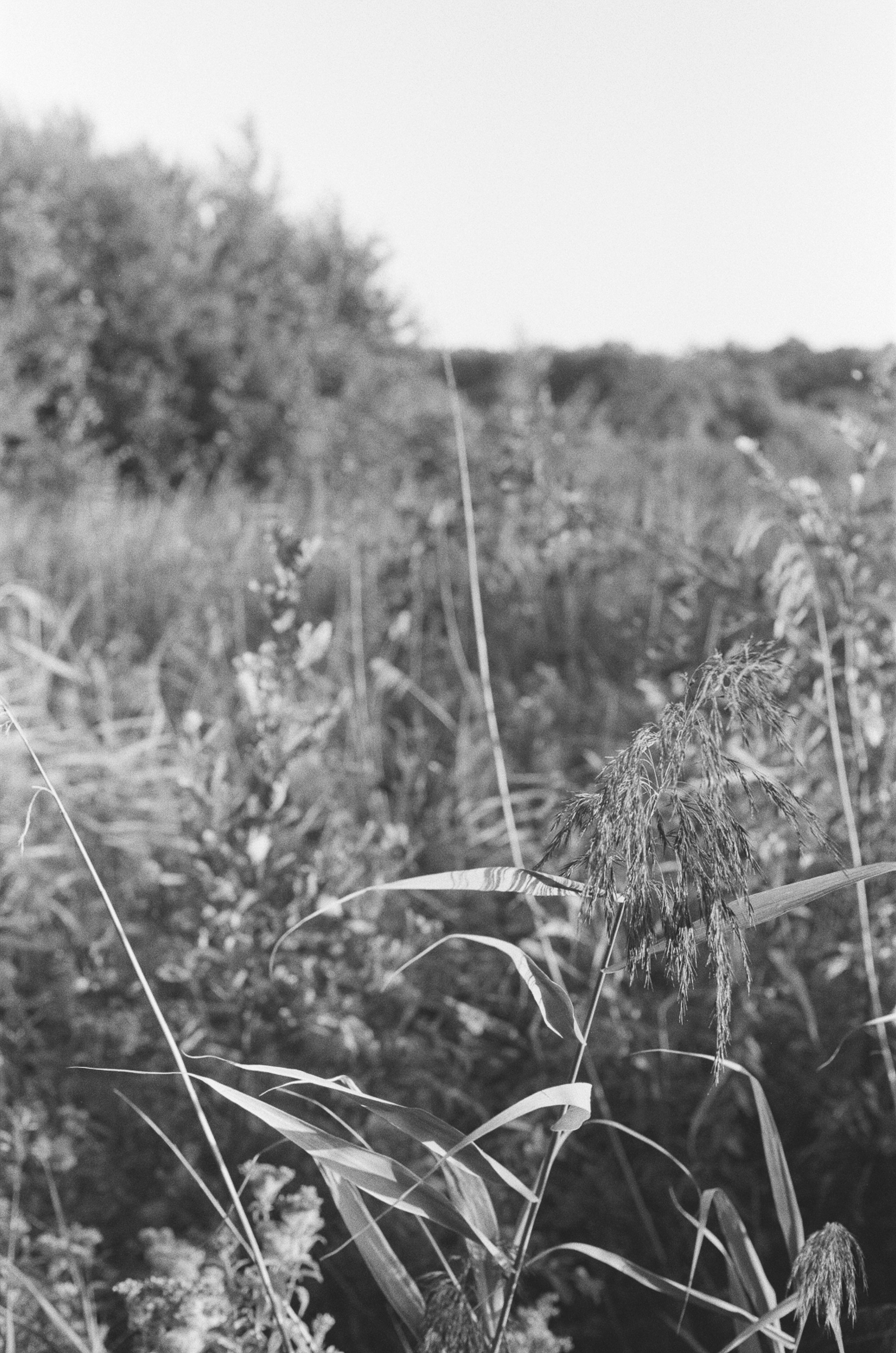 Photo by tanyabarrow