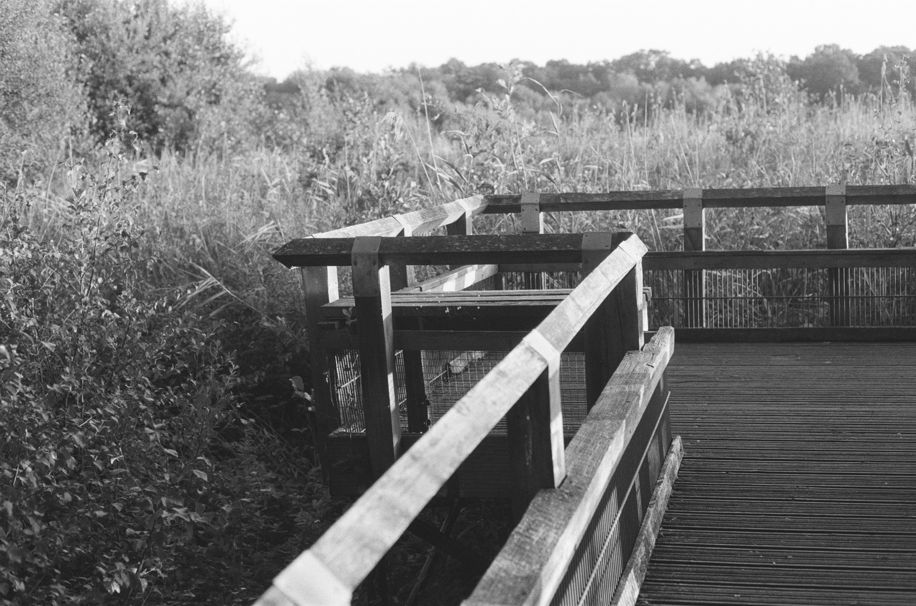 Photo by tanyabarrow