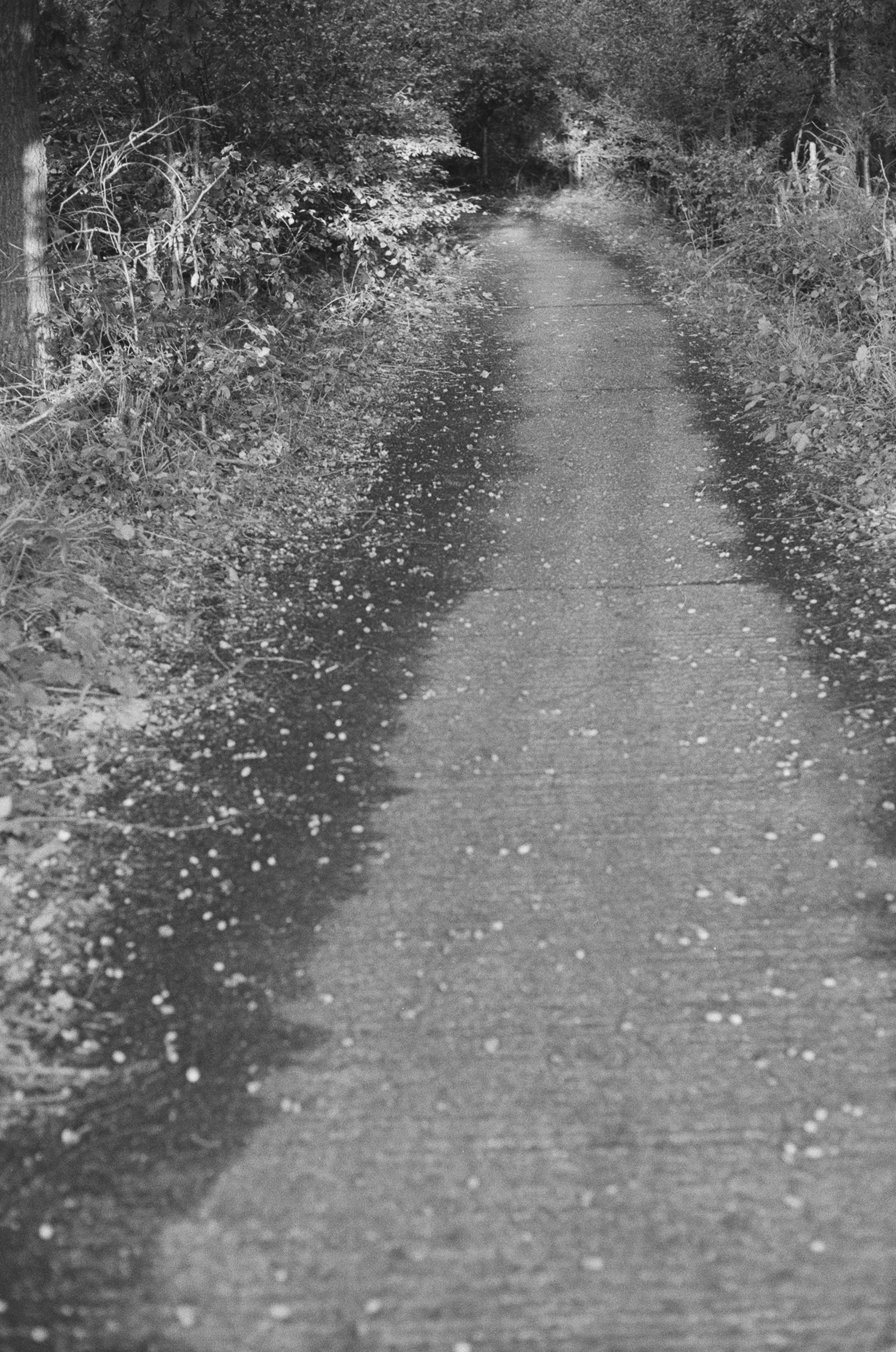 Photo by tanyabarrow