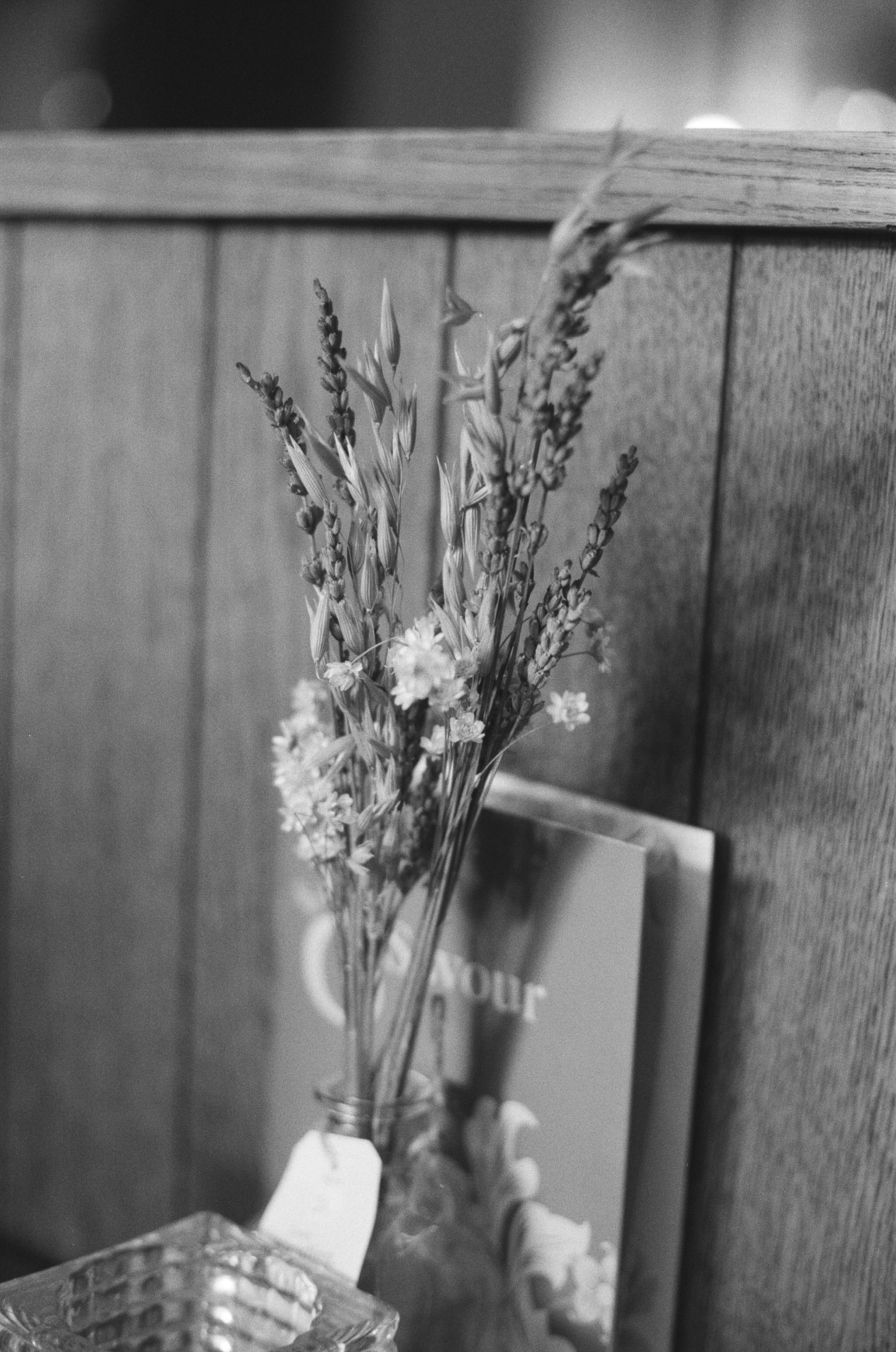 Photo by tanyabarrow