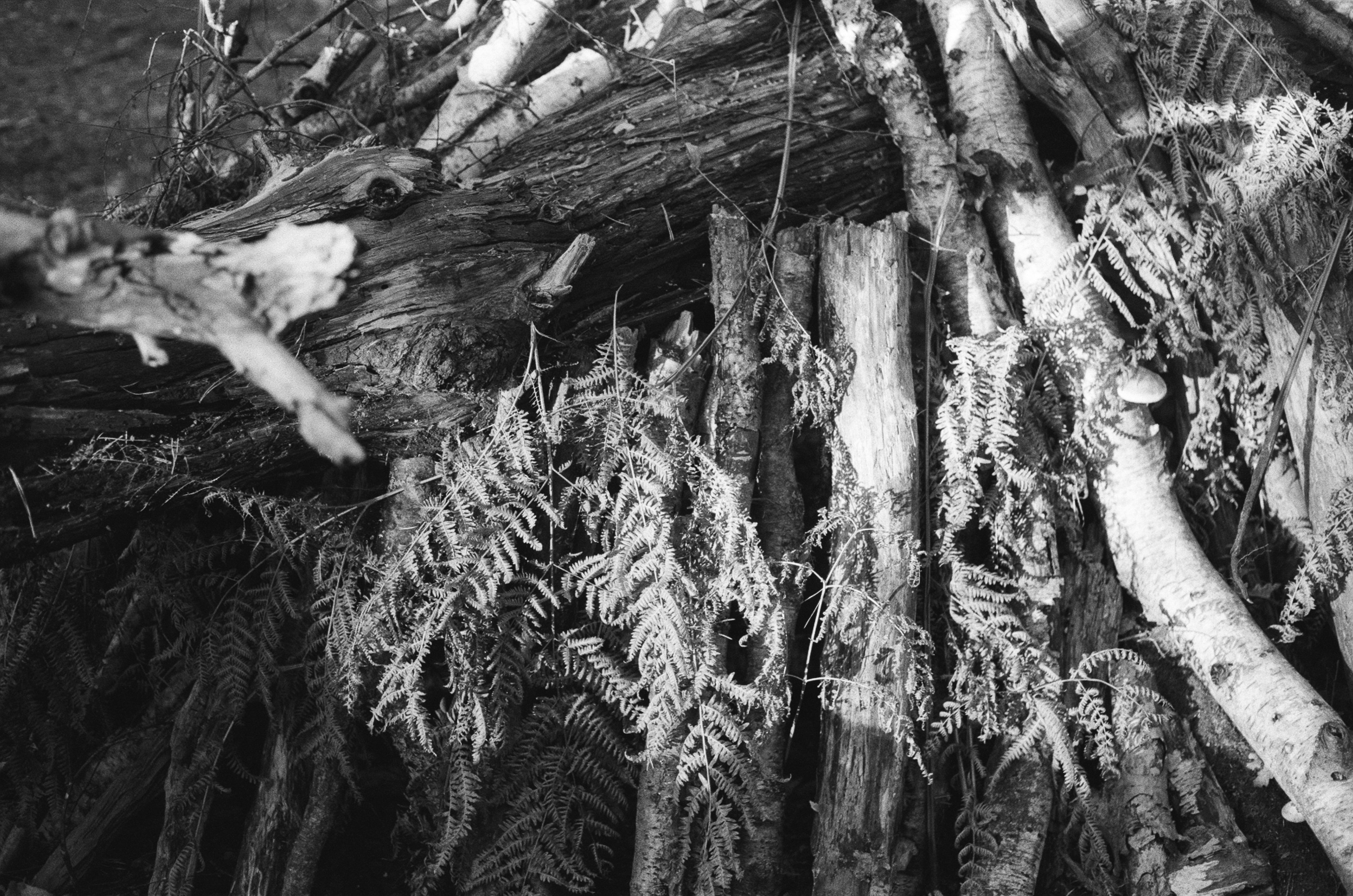 Photo by tanyabarrow