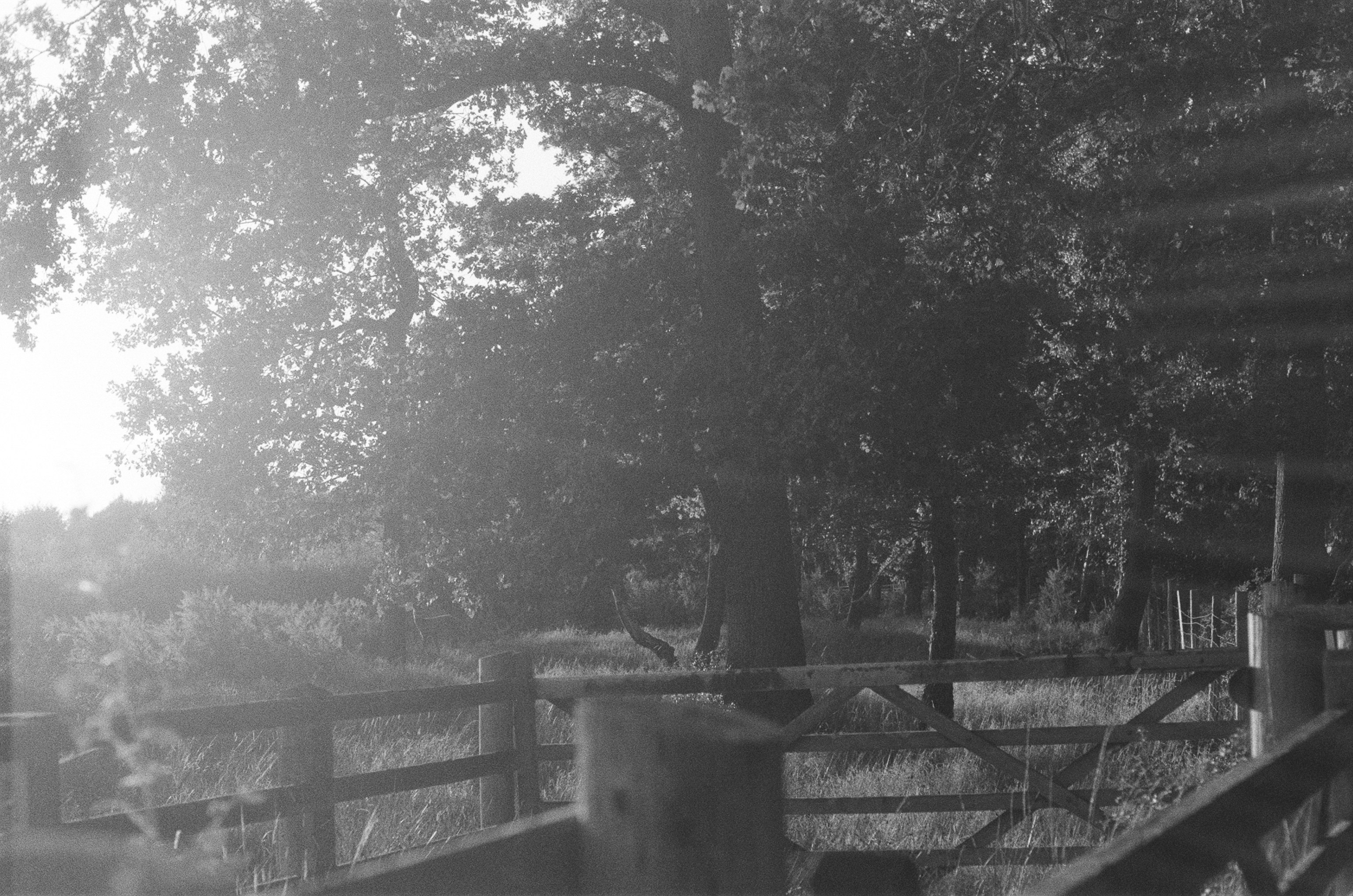 Photo by tanyabarrow