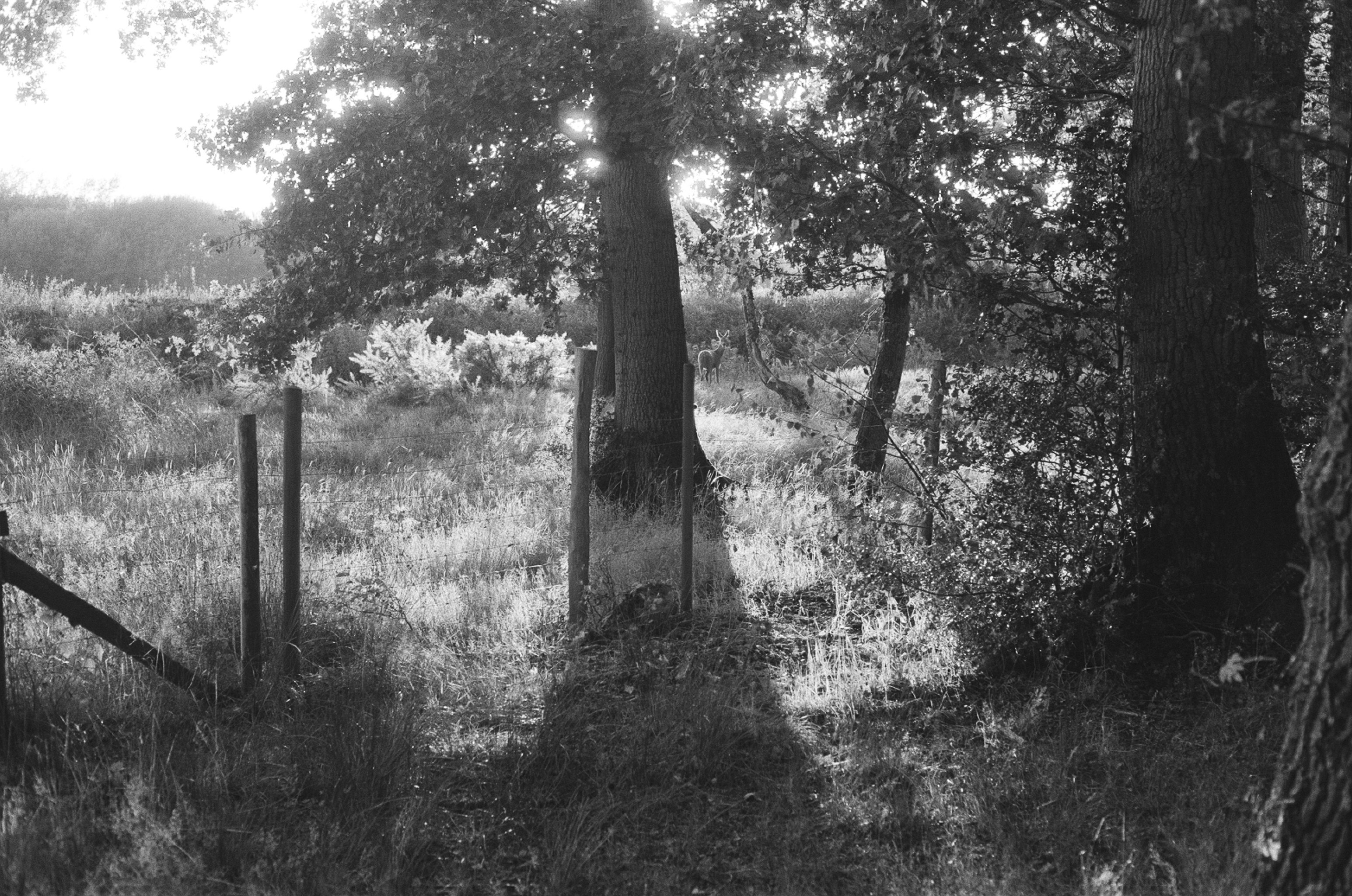 Photo by tanyabarrow