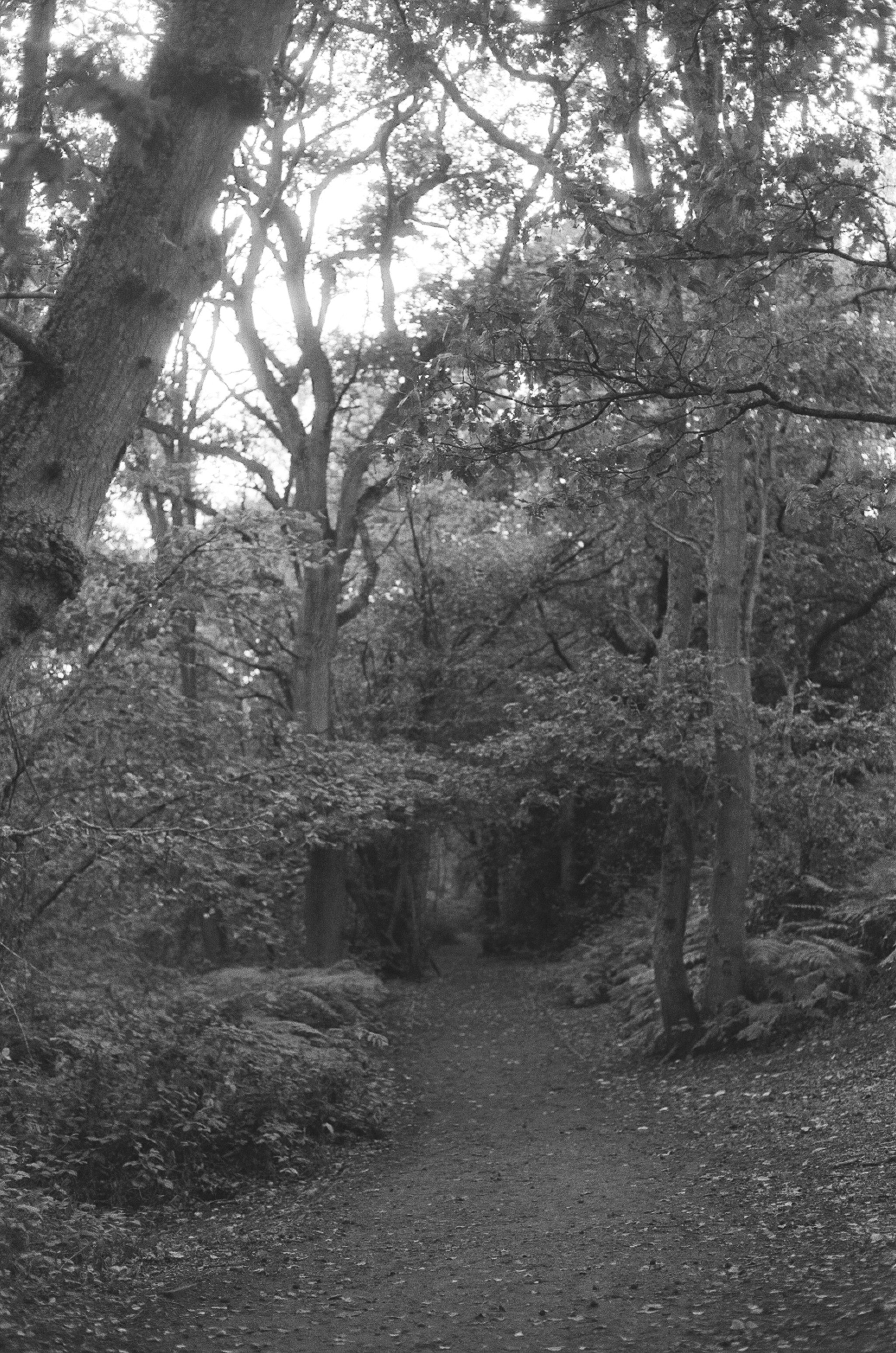 Photo by tanyabarrow