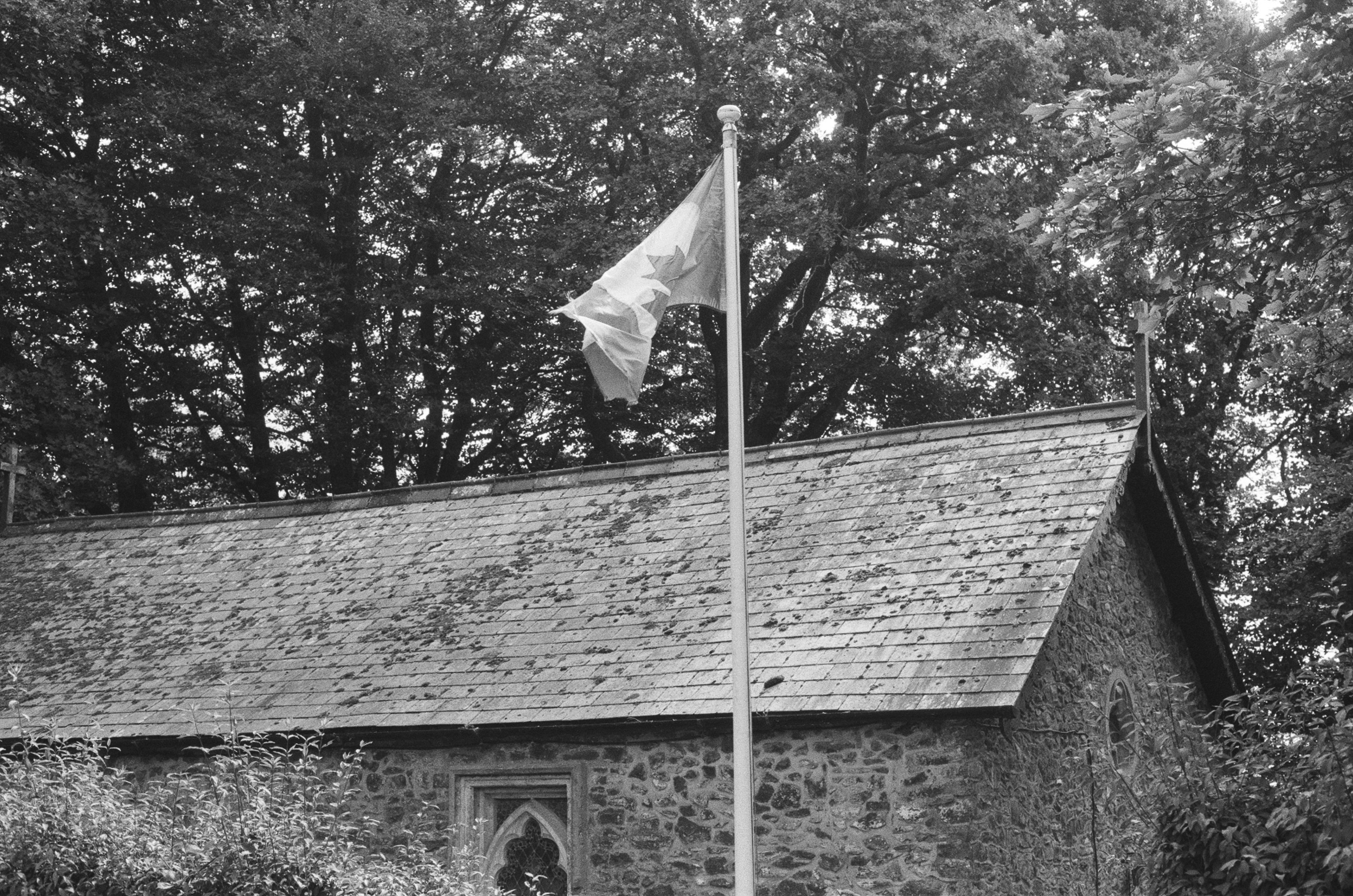 Photo by tanyabarrow