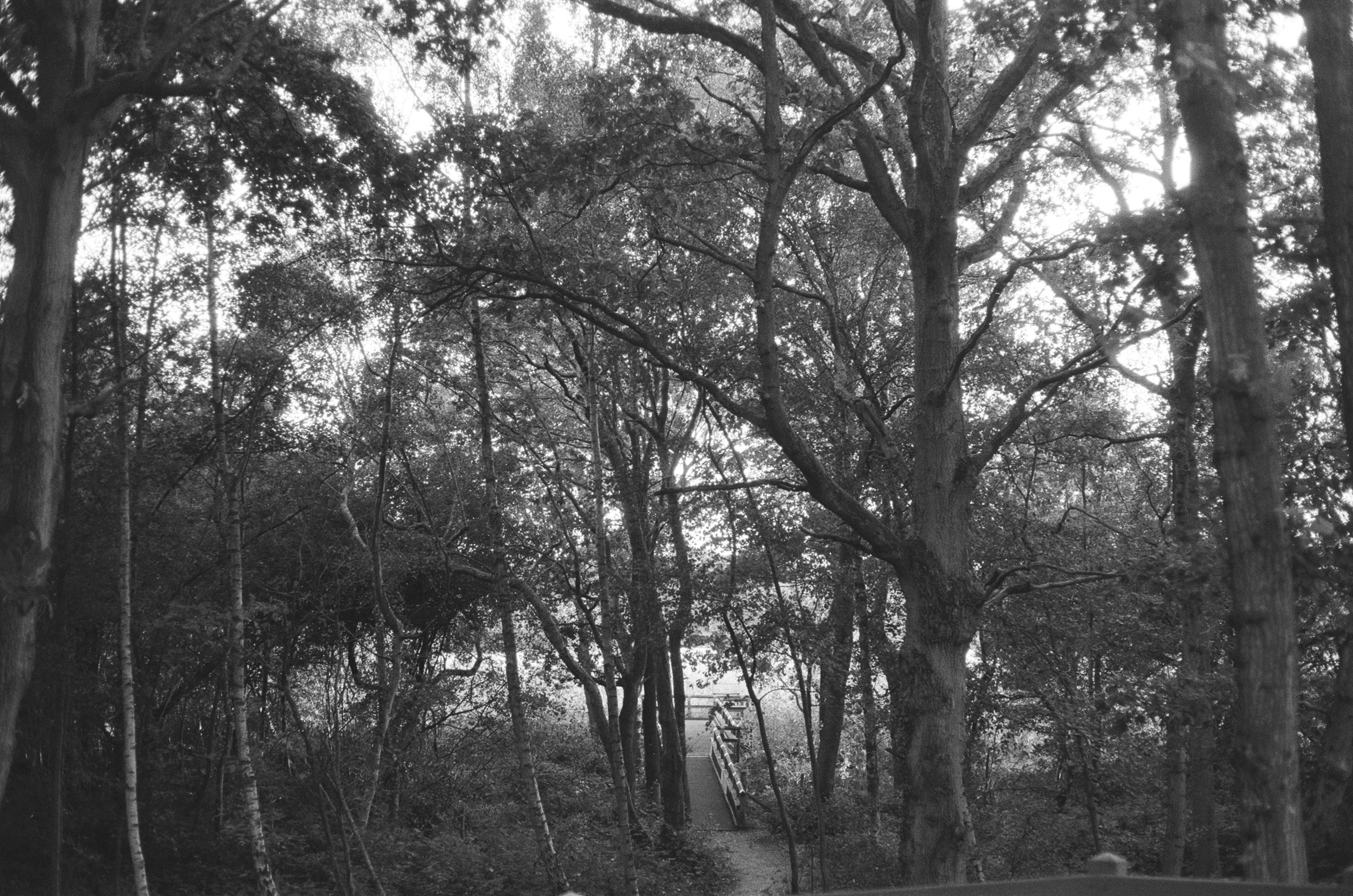 Photo by tanyabarrow