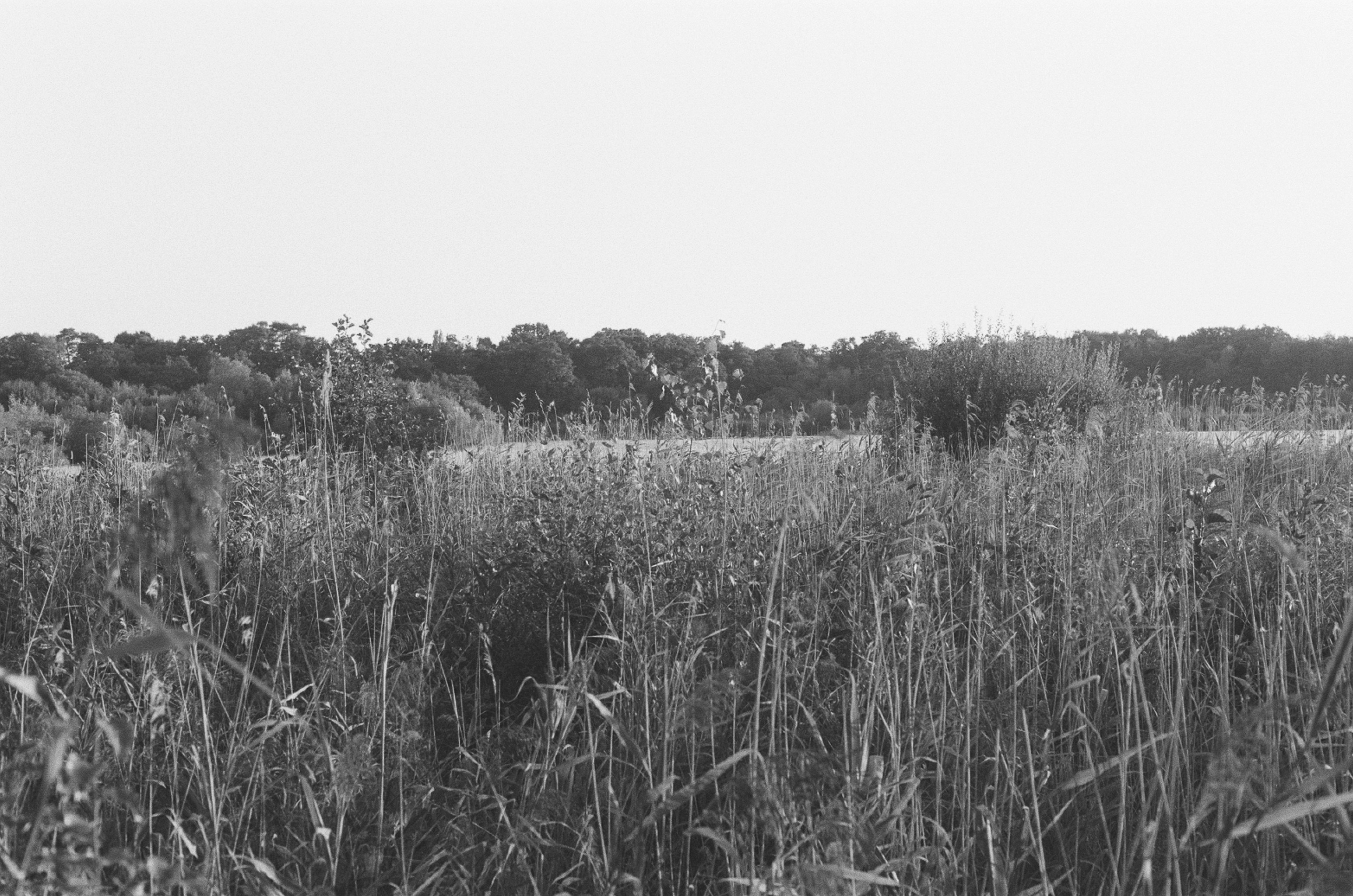 Photo by tanyabarrow