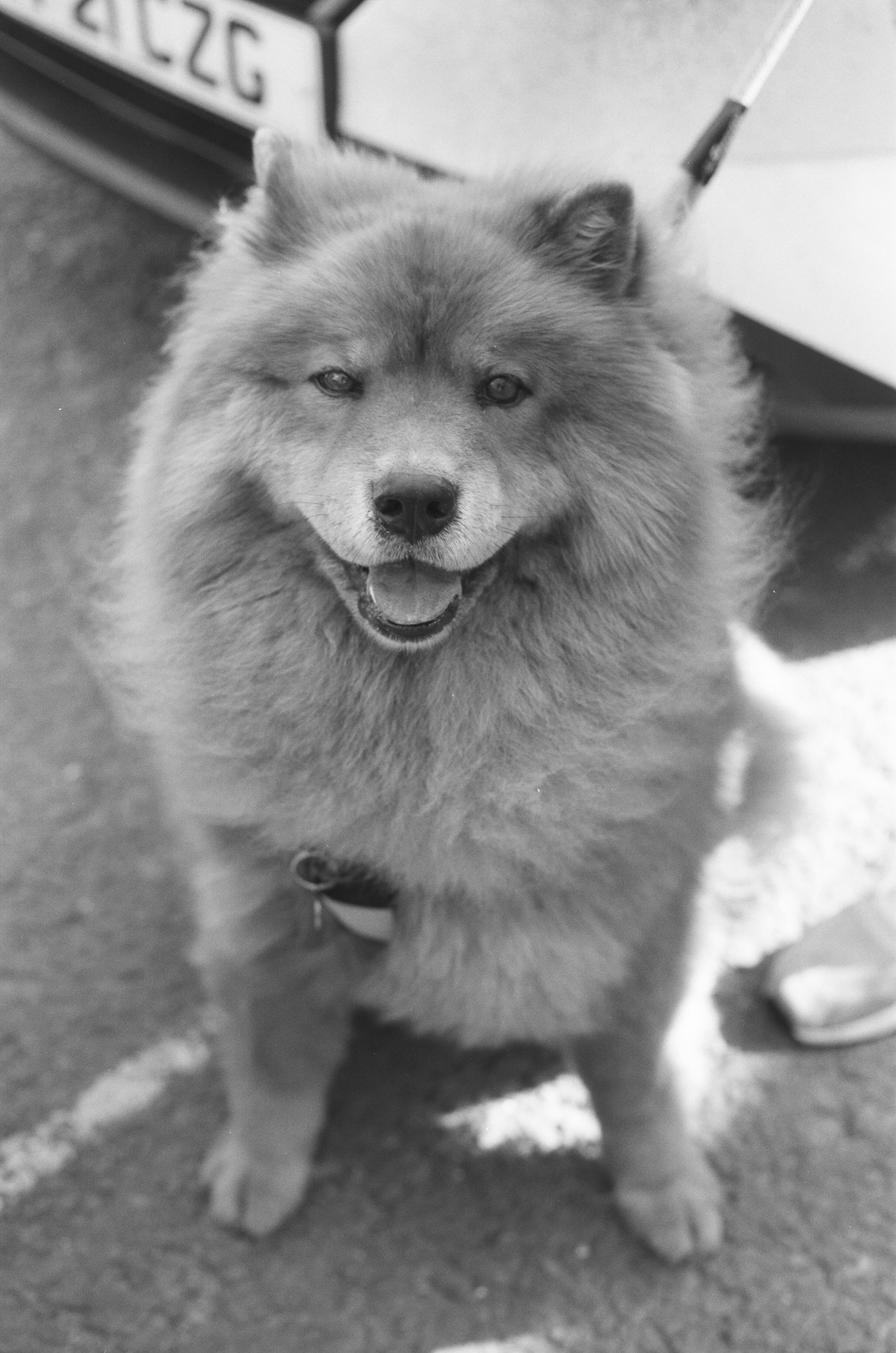 Photo by tanyabarrow