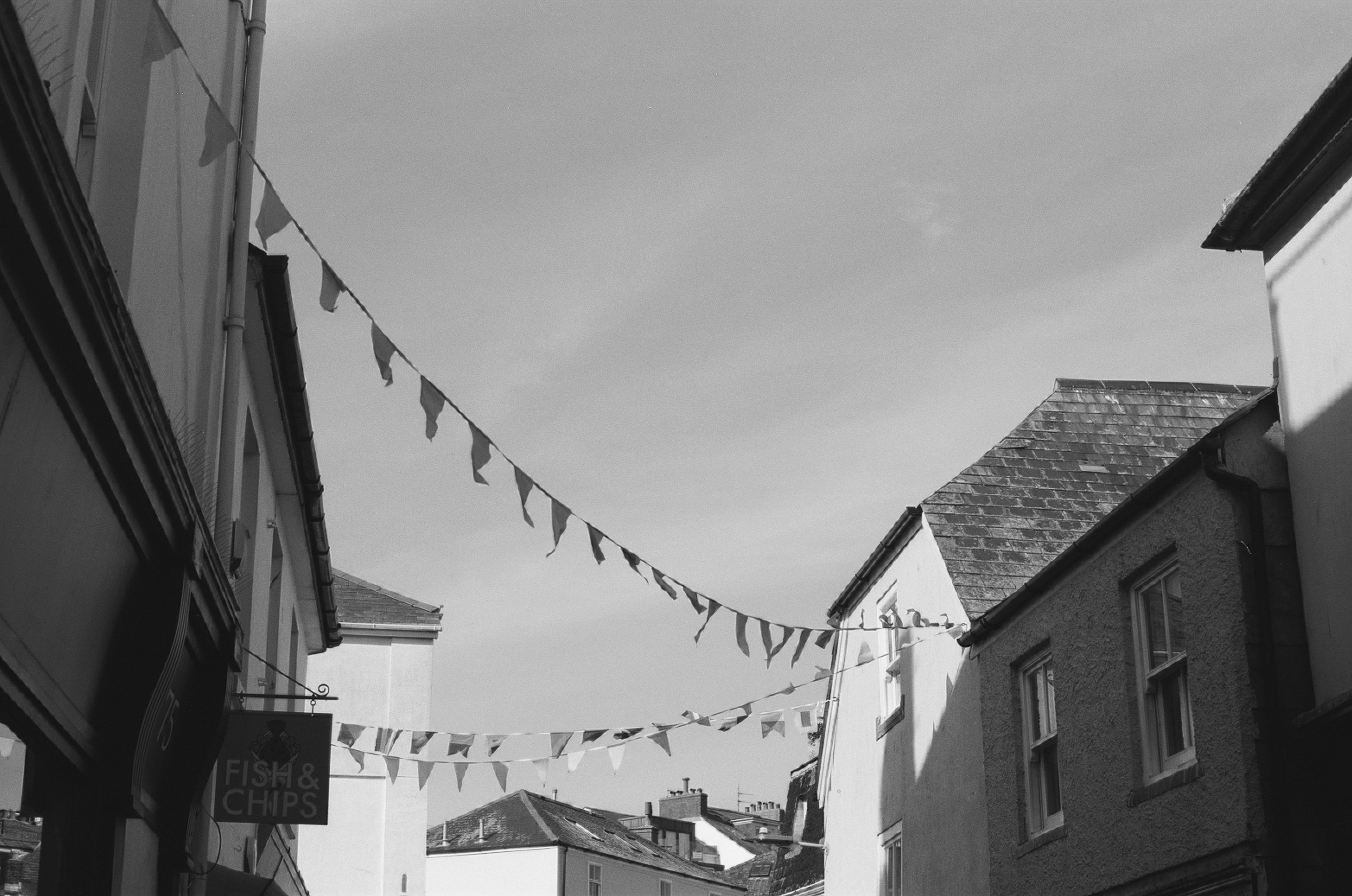 Photo by tanyabarrow