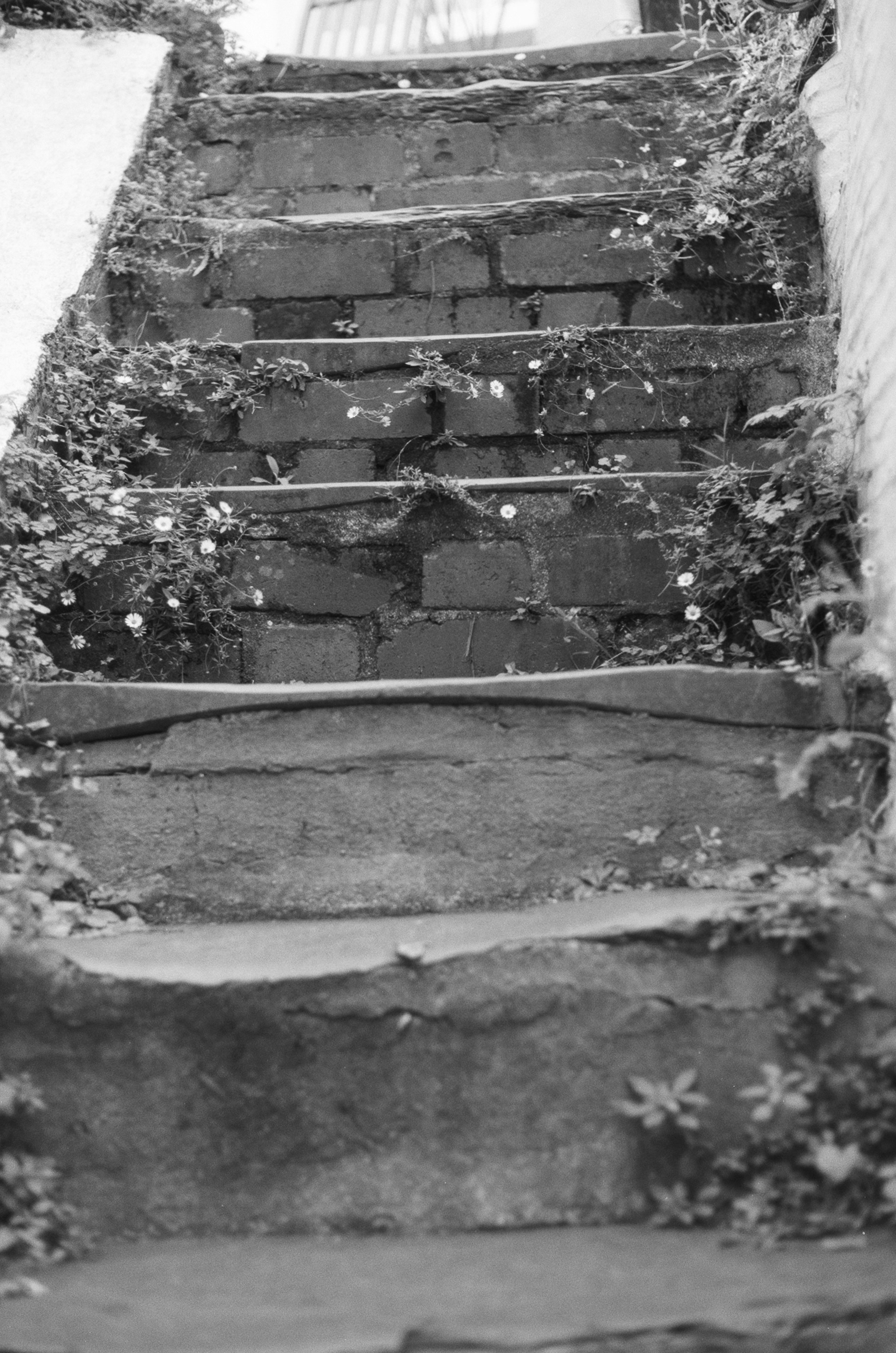 Photo by tanyabarrow