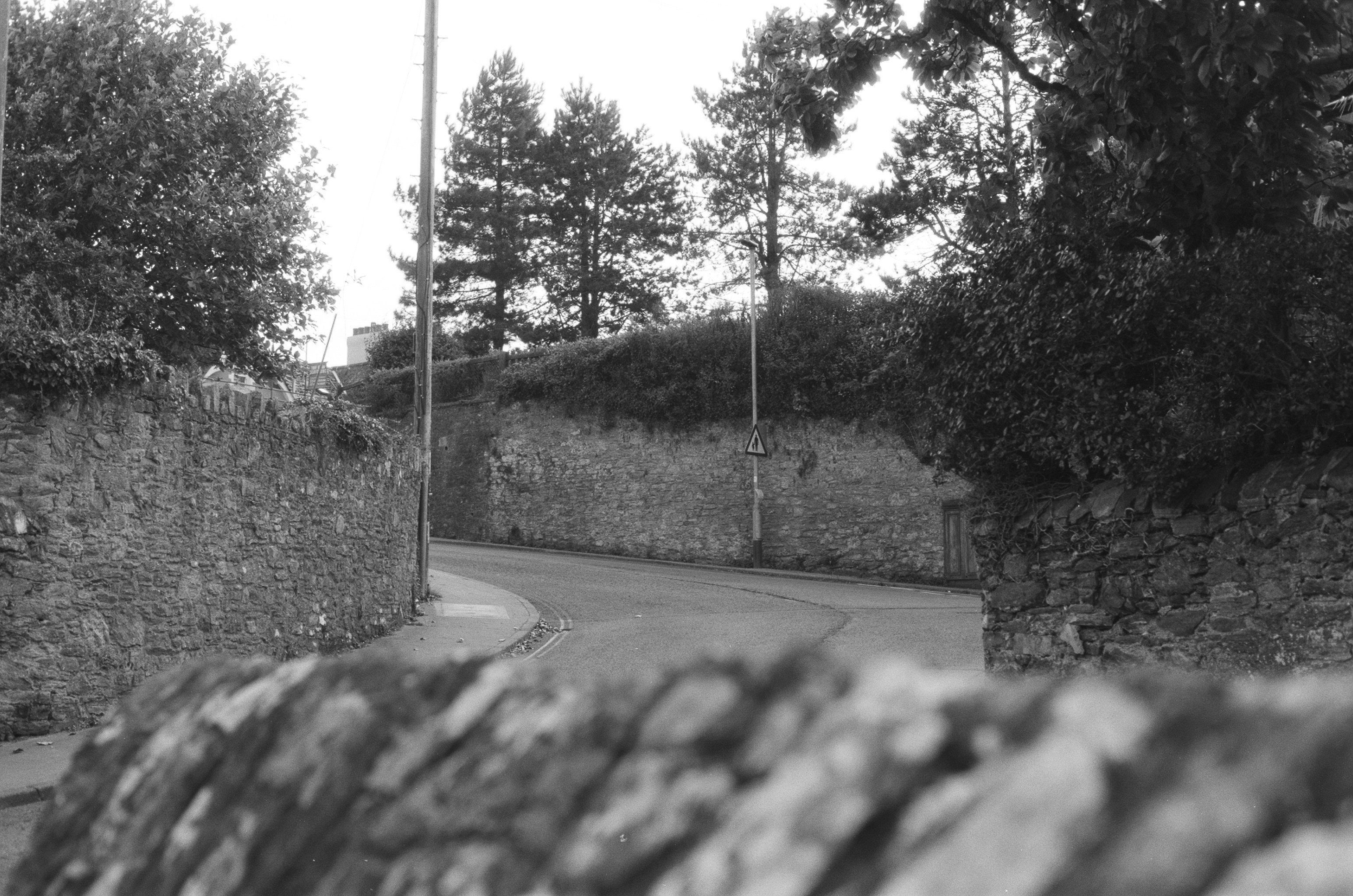 Photo by tanyabarrow