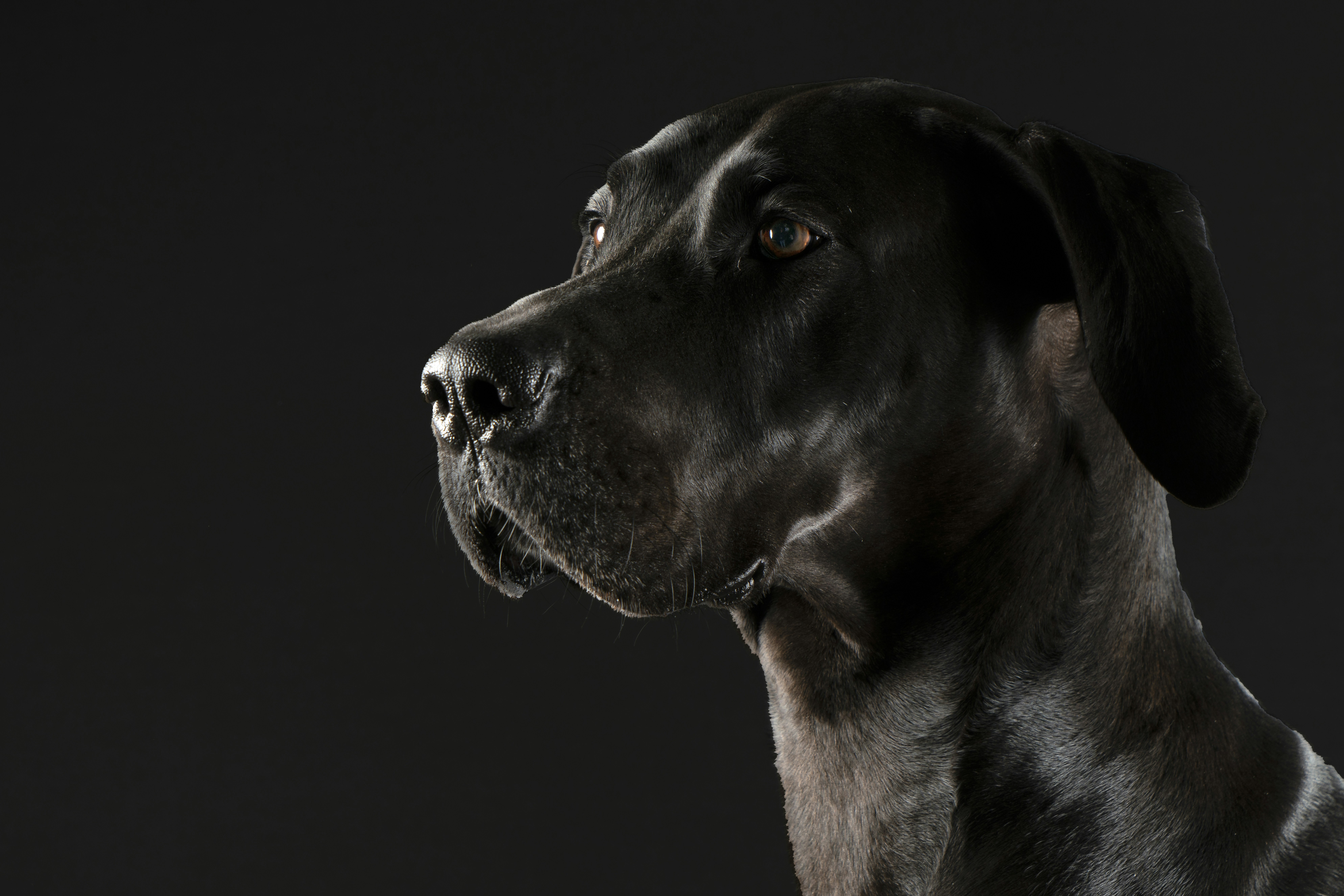 Photo by duehringfotografie