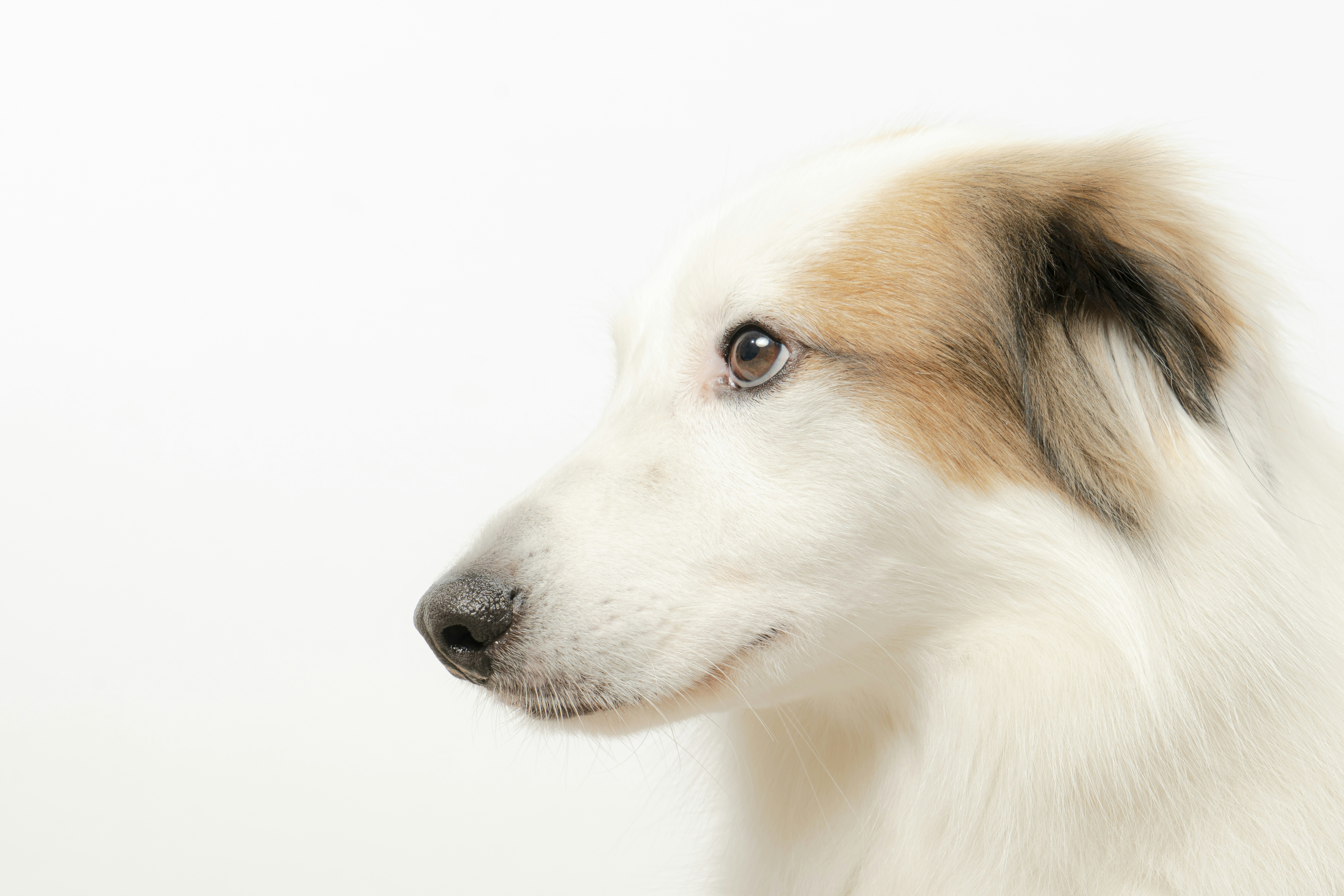 Photo by duehringfotografie