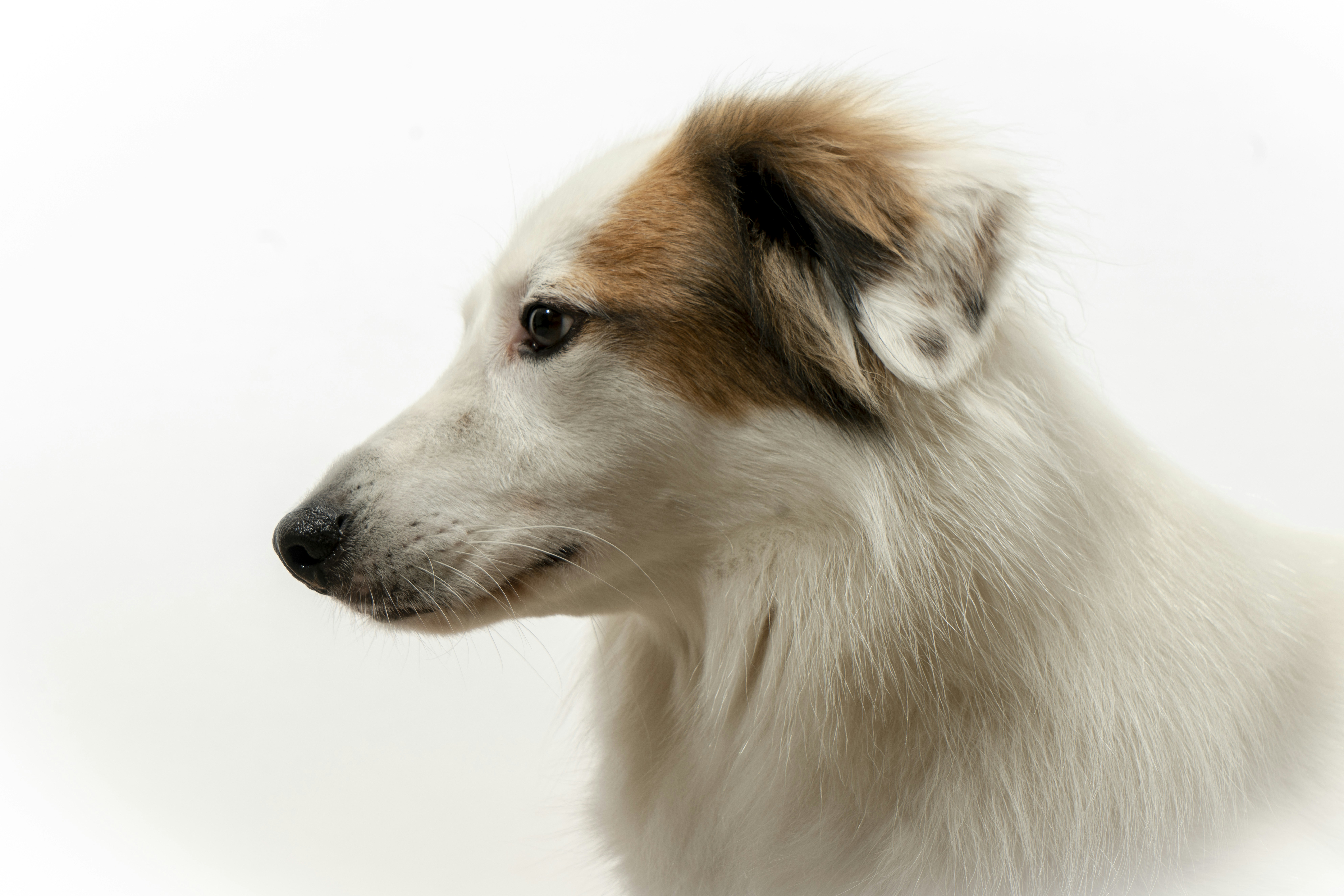 Photo by duehringfotografie