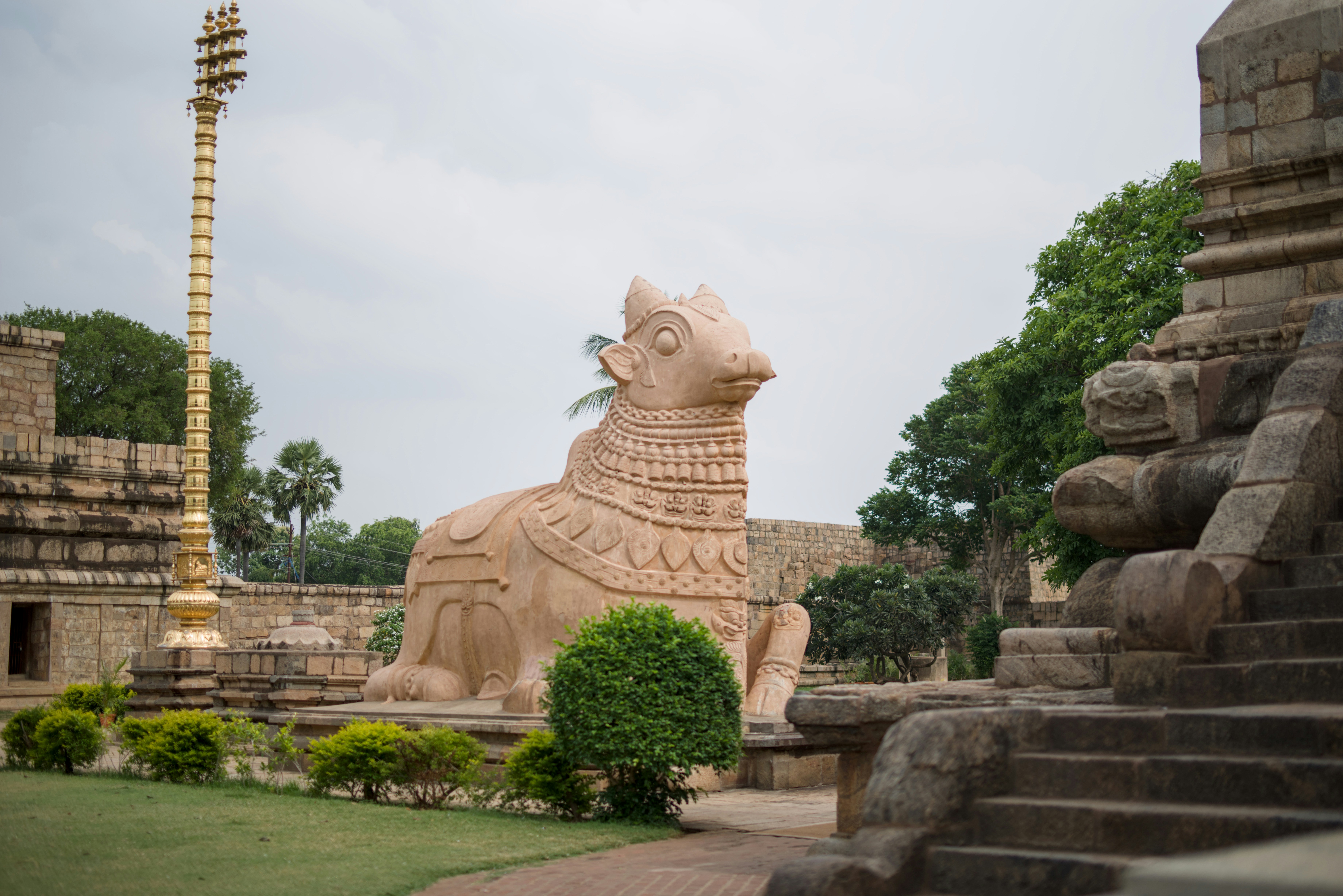 Photo by satishdharmavarapu