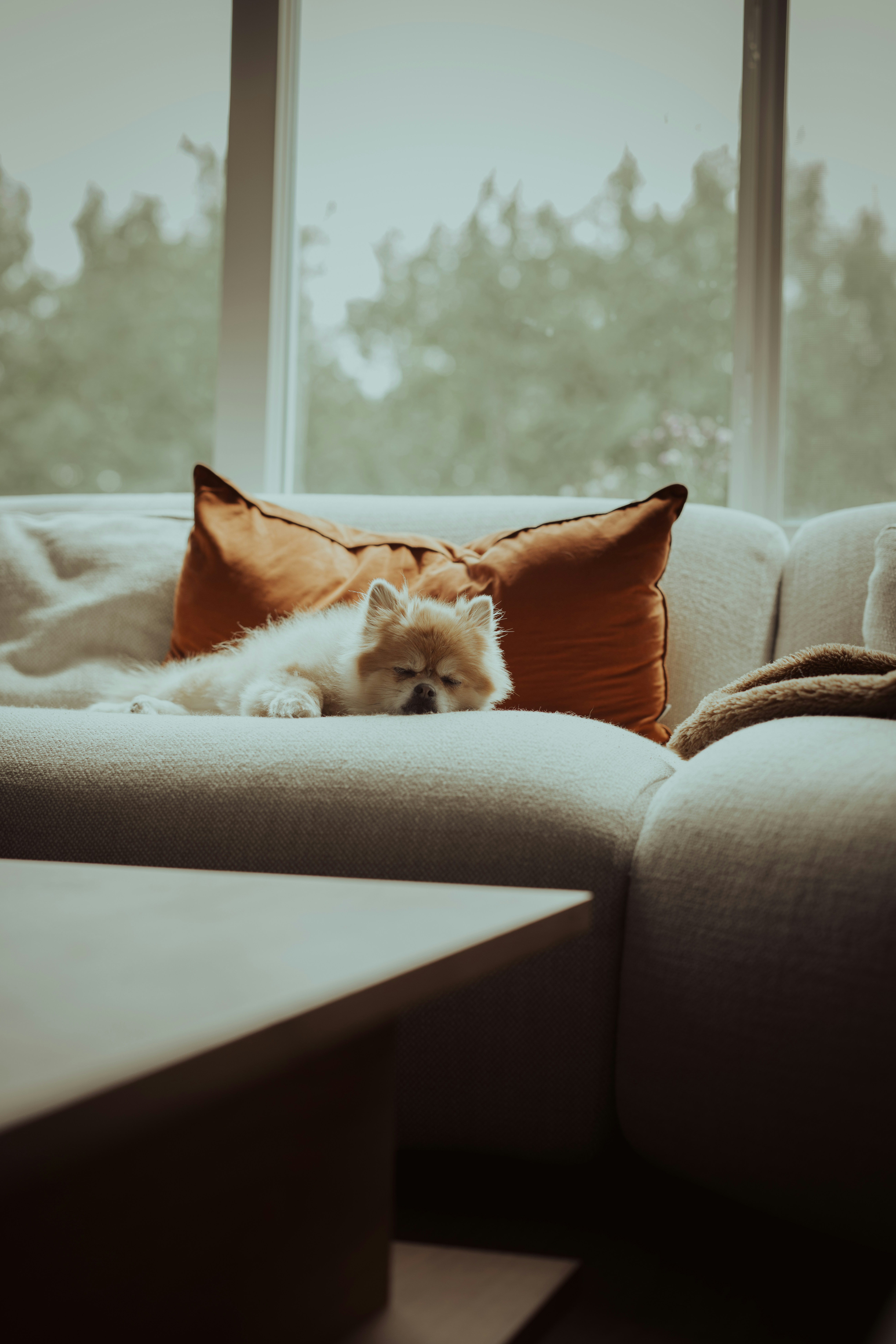 Photo by one91creative