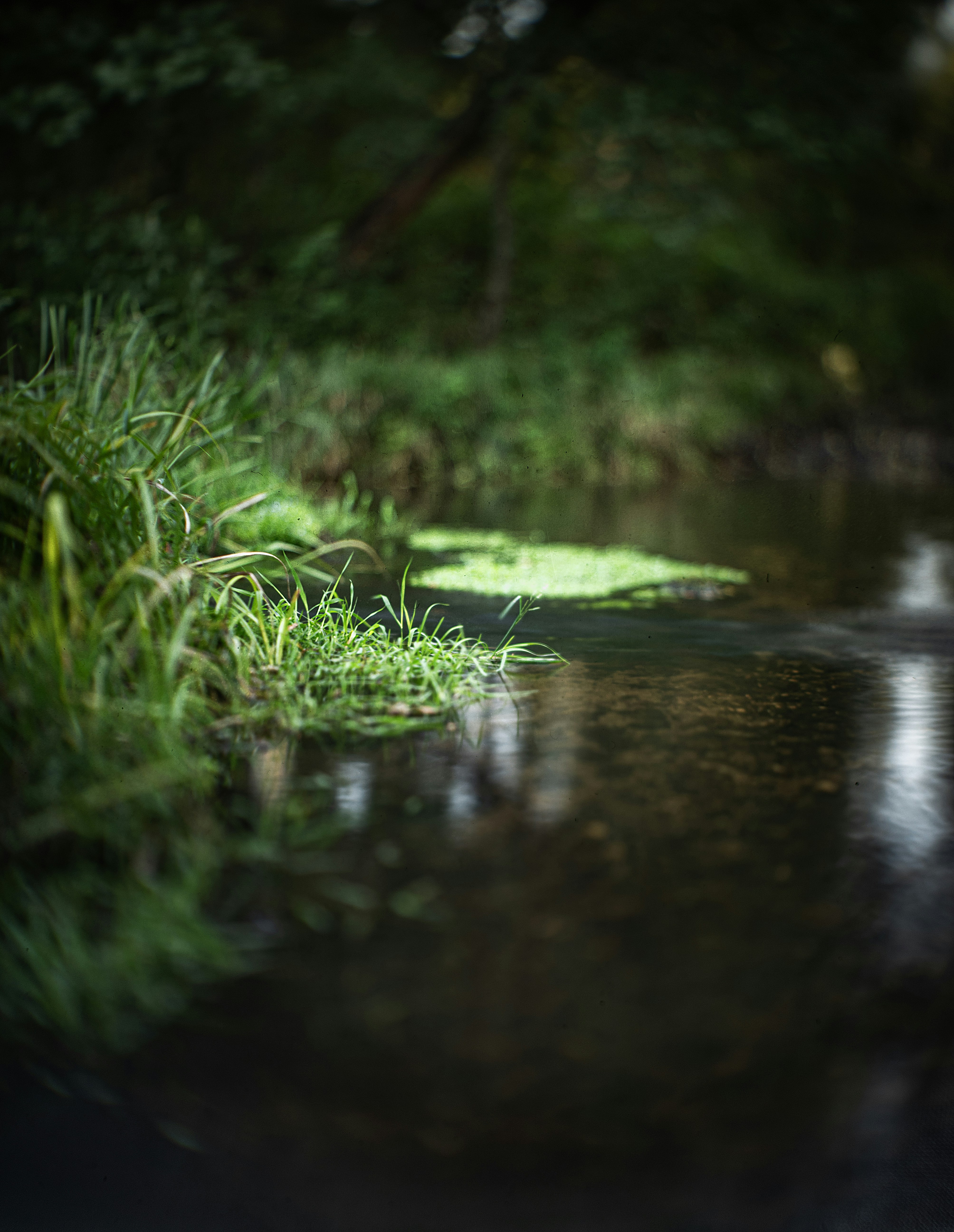 Photo by andrilliardbond