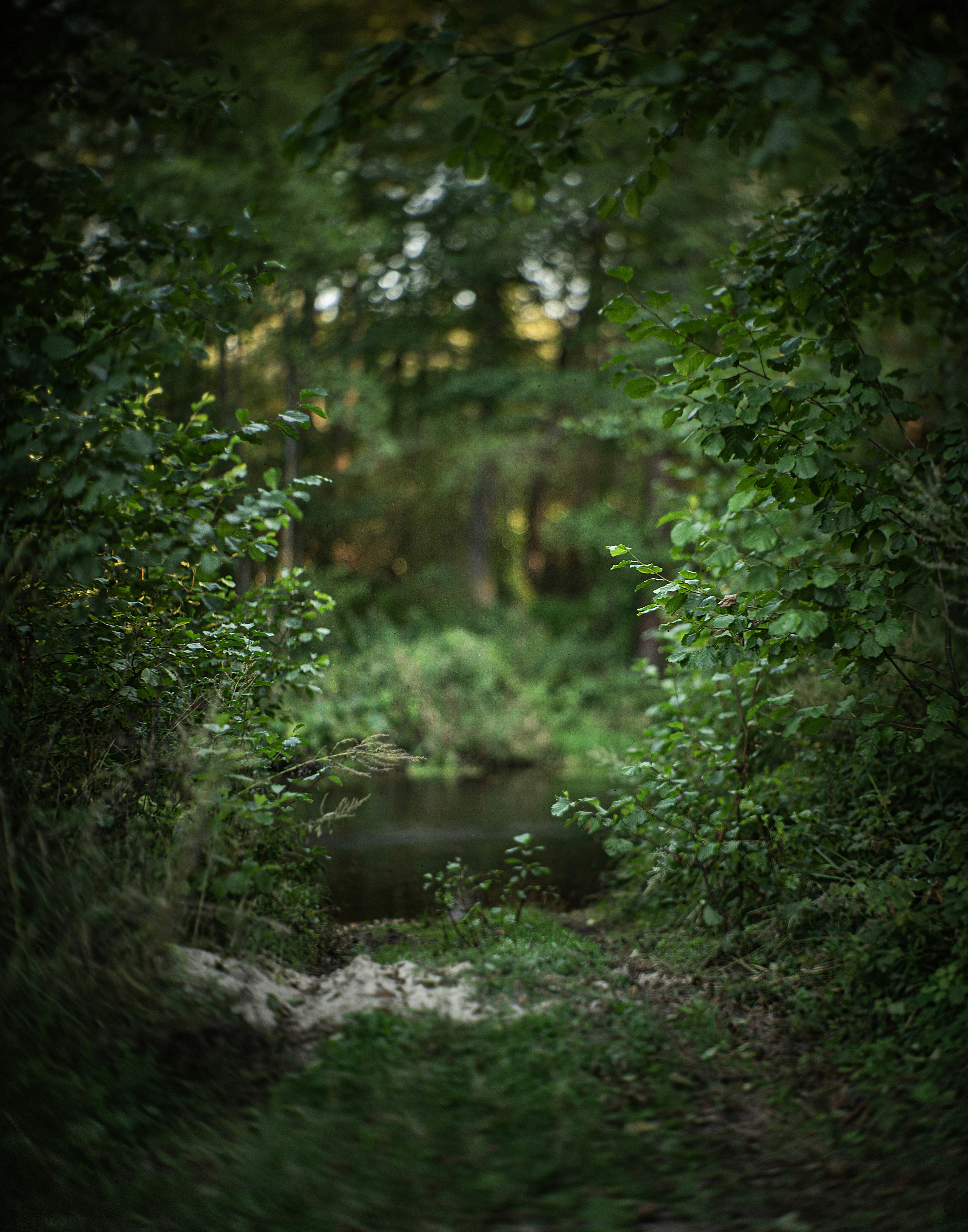 Photo by andrilliardbond