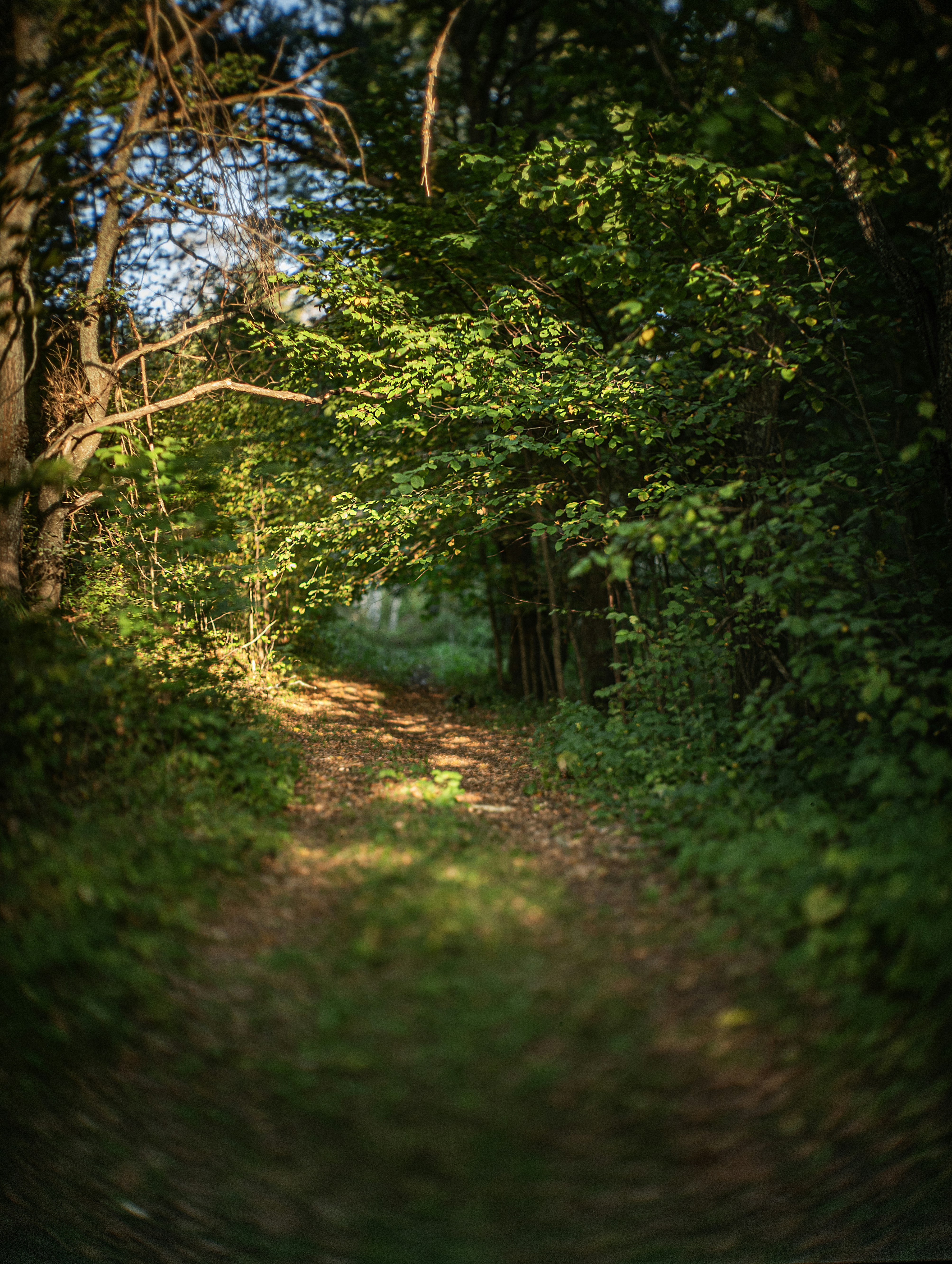 Photo by andrilliardbond