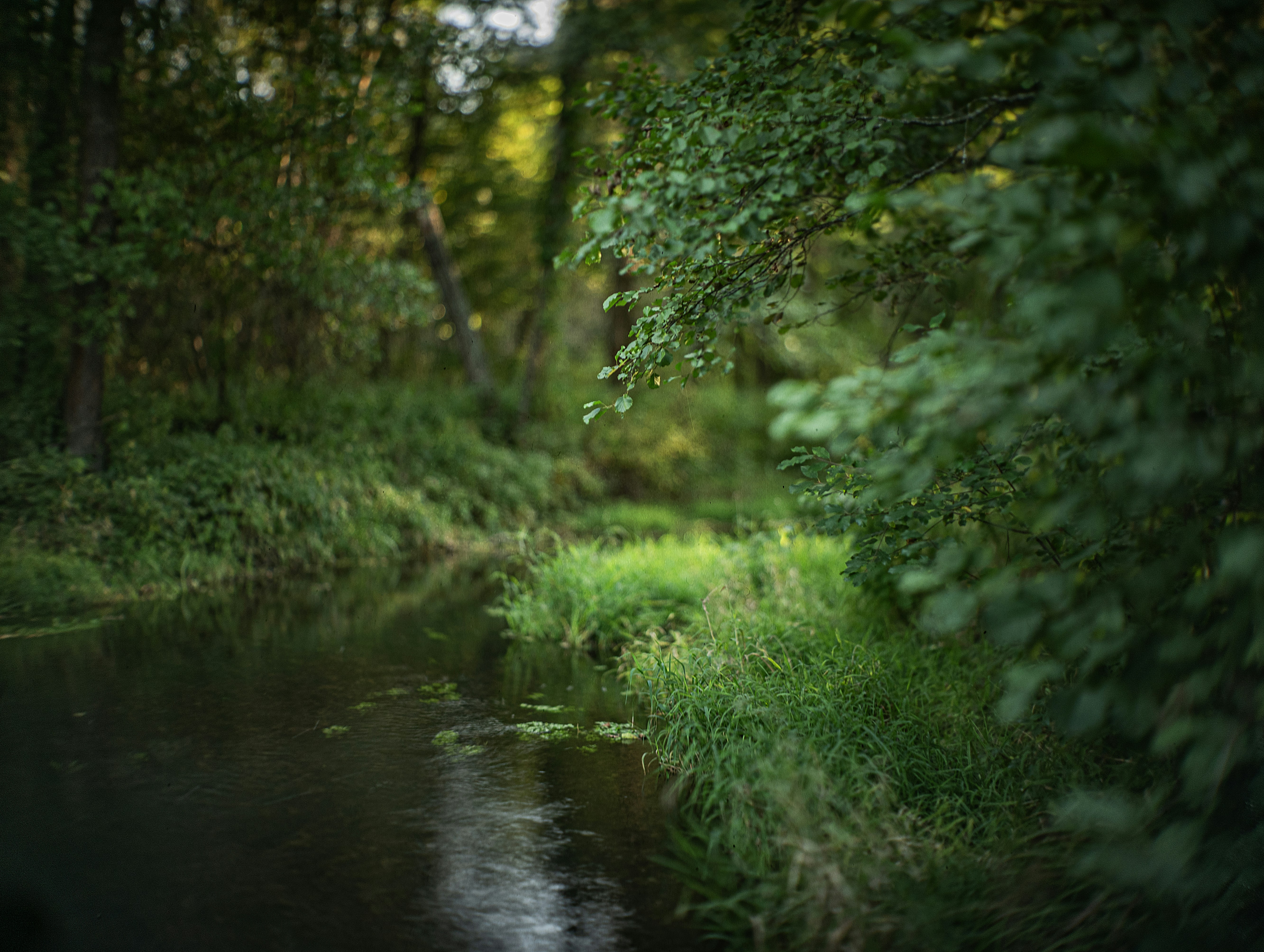 Photo by andrilliardbond