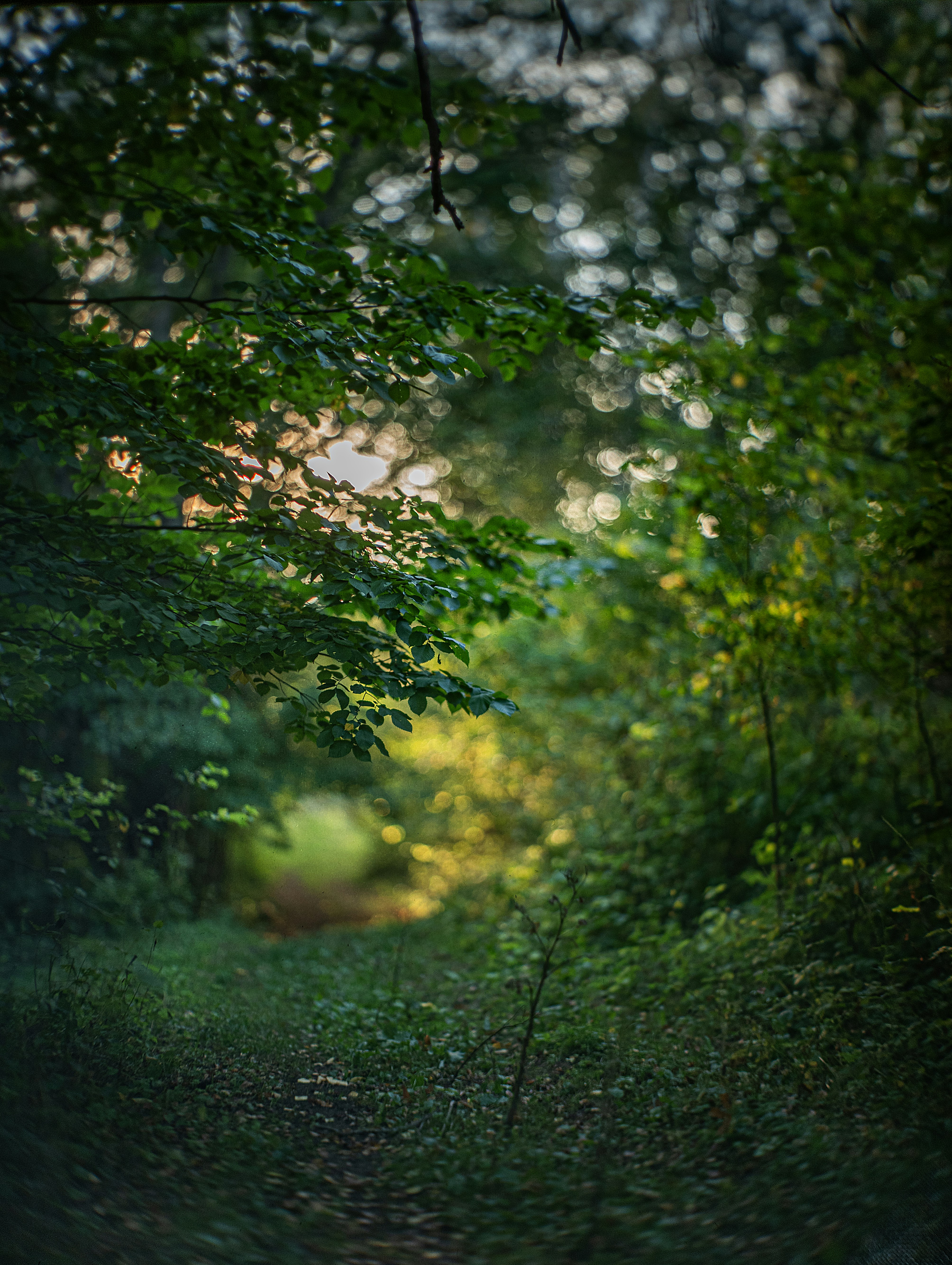 Photo by andrilliardbond