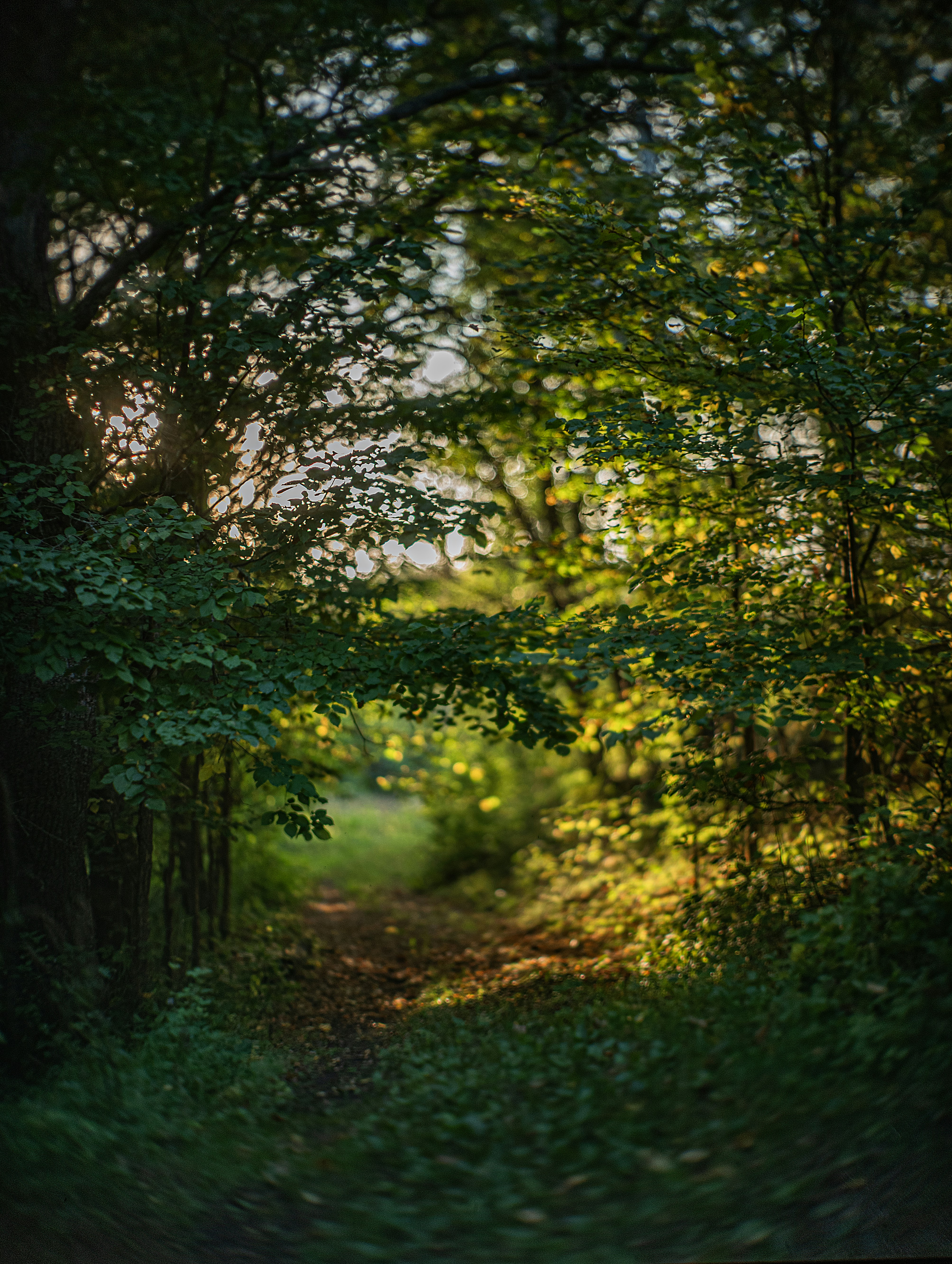 Photo by andrilliardbond