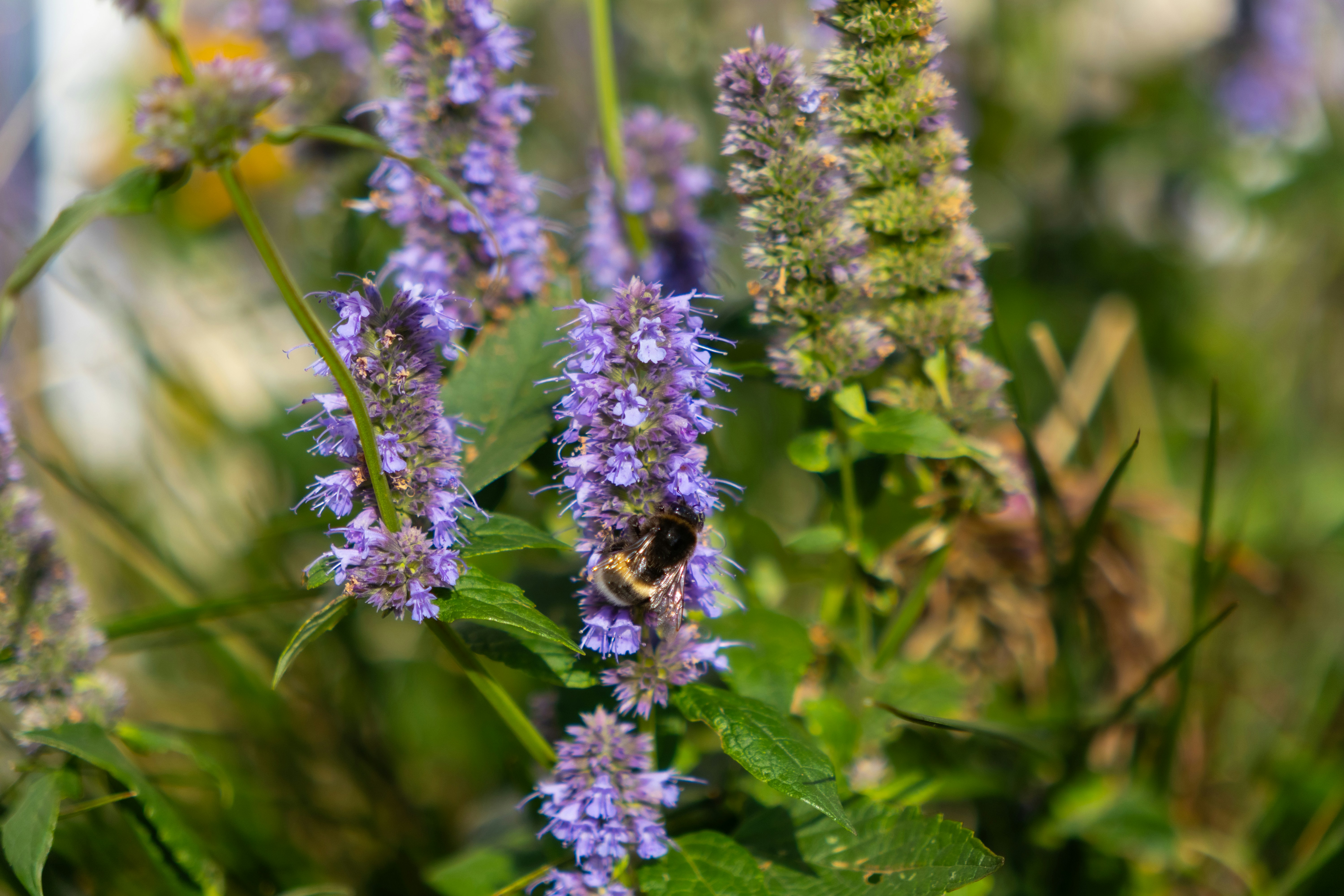 Photo by anna_photo_yozh