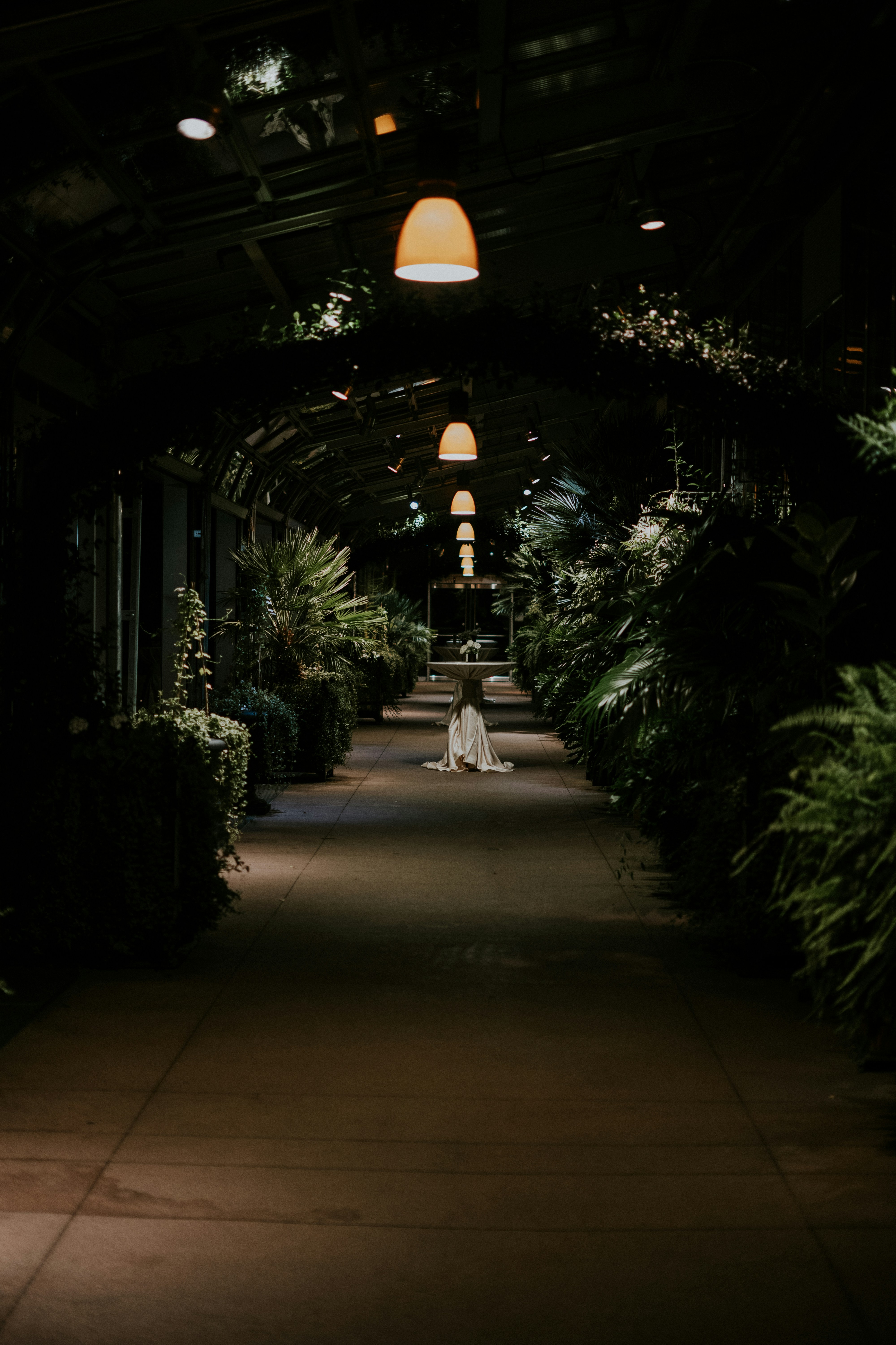 A person stands in a dimly lit greenhouse walkway